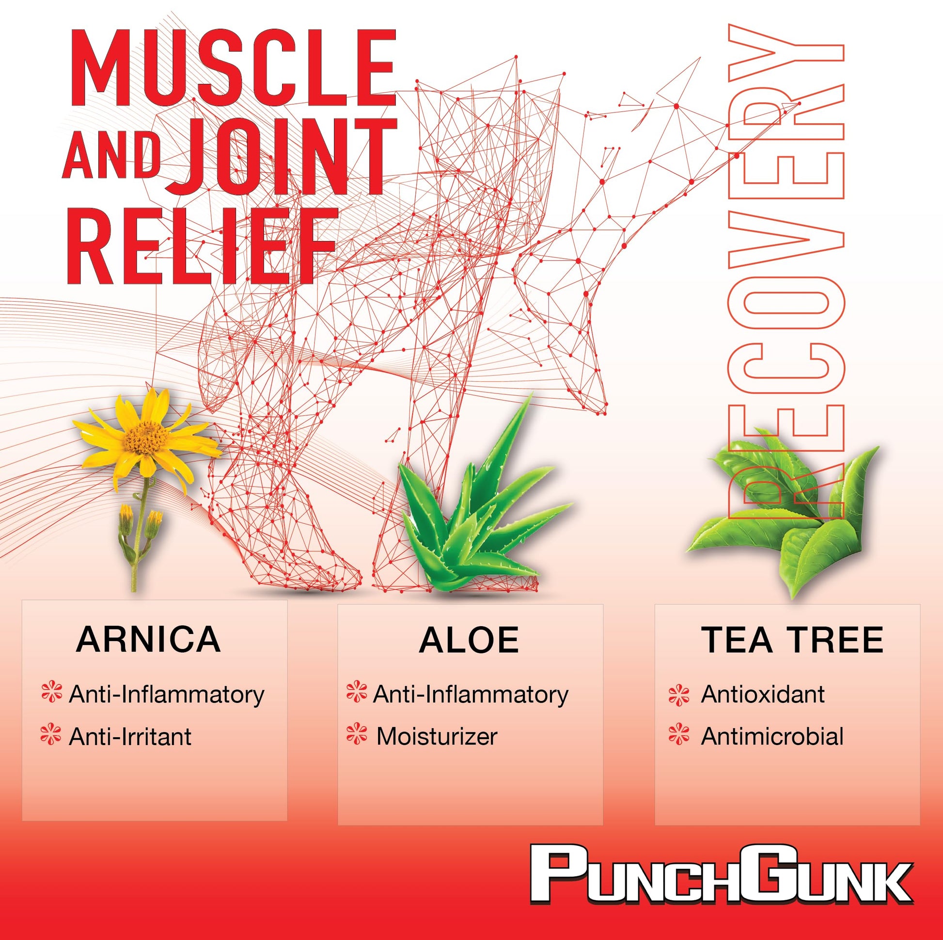 PunchGunk Muscle and Joint Relief Cream for Sore Muscles and Joints, Non Greasy, Naturally Advanced Lotion with Arnica, Aloe & Tea Tree 3.0oz PUNCHGUNK buy supplements canada