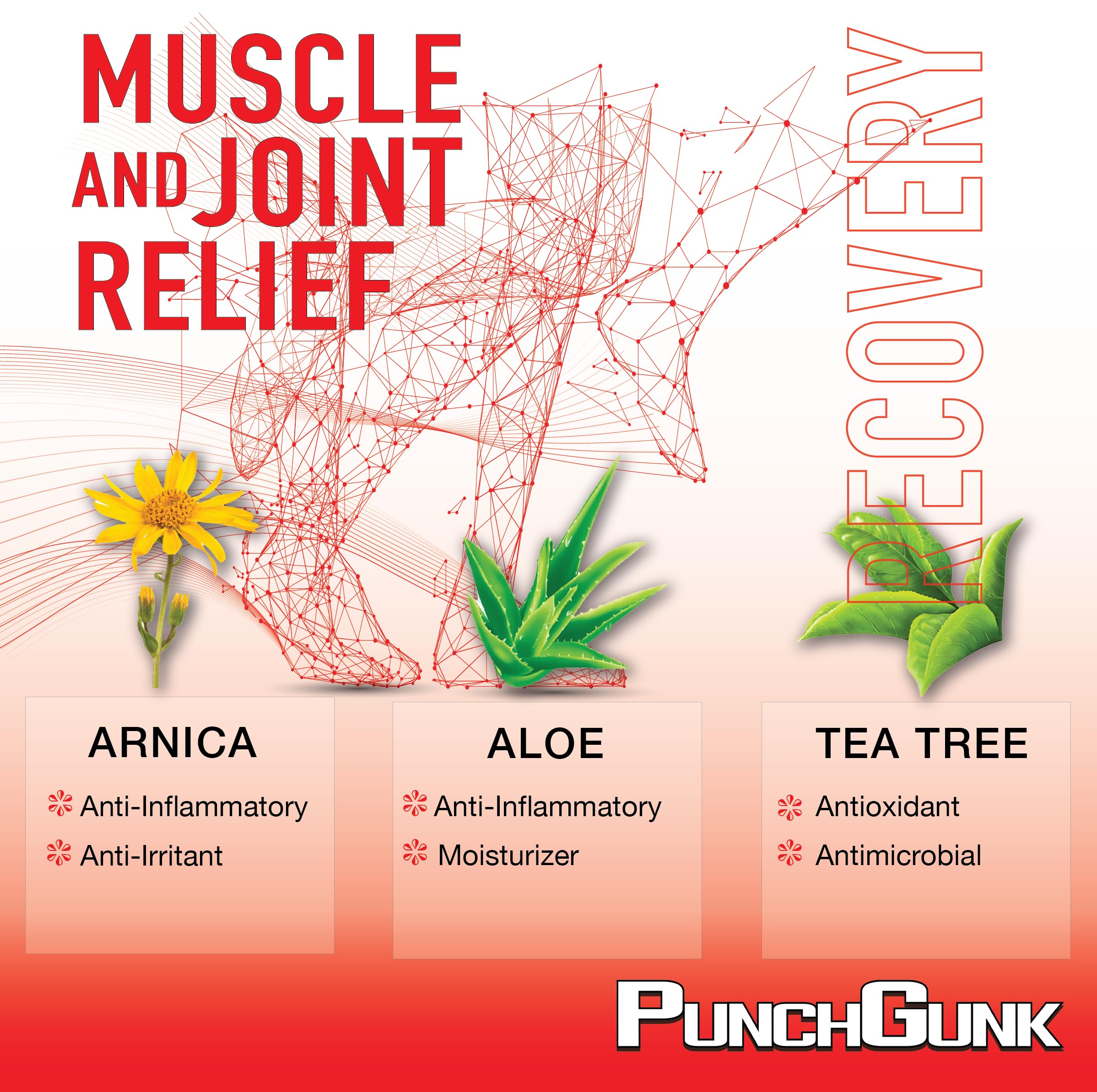 PunchGunk Muscle and Joint Relief Cream for Sore Muscles and Joints, Non Greasy, Naturally Advanced Lotion with Arnica, Aloe & Tea Tree 3.0oz PUNCHGUNK buy supplements canada