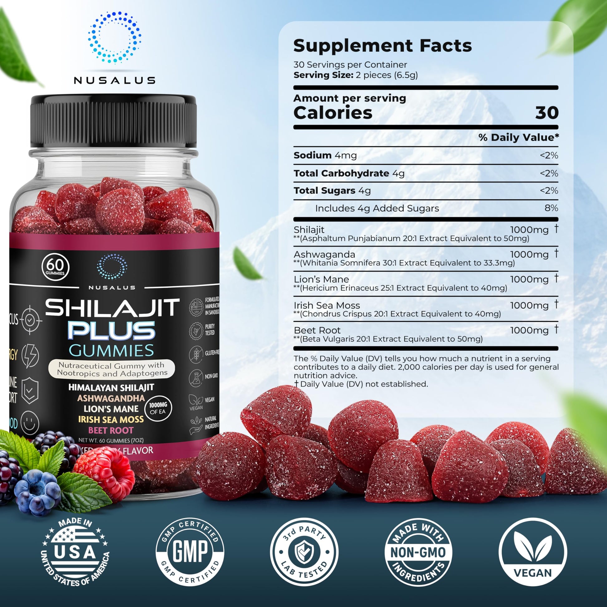 Nusalus Shilajit Plus Gummies – 5-in-1 Adaptogen Energy & Focus Supplement | Shilajit, Ashwagandha, Lion’s Mane, Sea Moss & Beet Root | Natural Energy & Stress Support | Made in USA, Vegan, 60ct Nusalus buy supplements canada