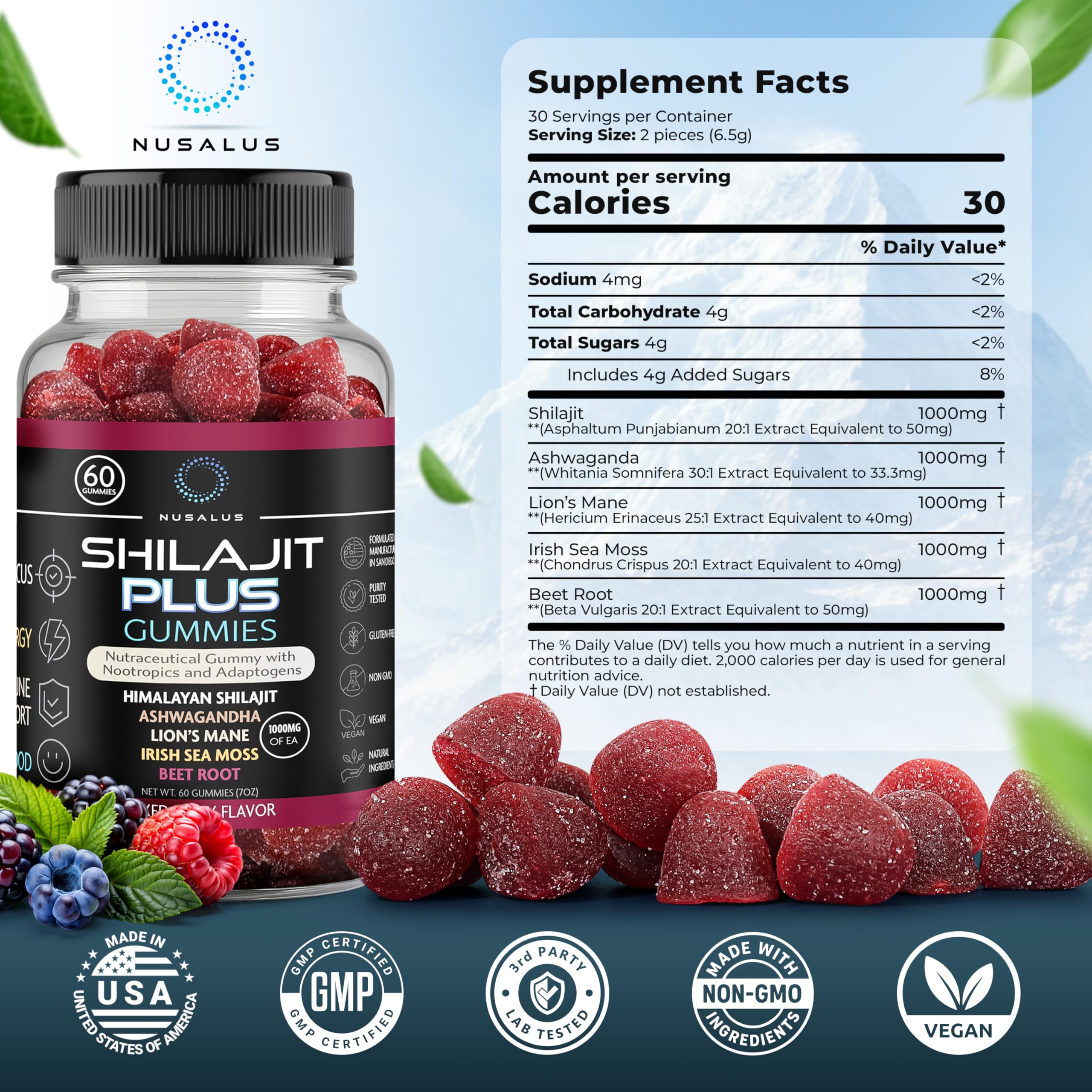 Nusalus Shilajit Plus Gummies – 5-in-1 Adaptogen Energy & Focus Supplement | Shilajit, Ashwagandha, Lion’s Mane, Sea Moss & Beet Root | Natural Energy & Stress Support | Made in USA, Vegan, 60ct Nusalus buy supplements canada