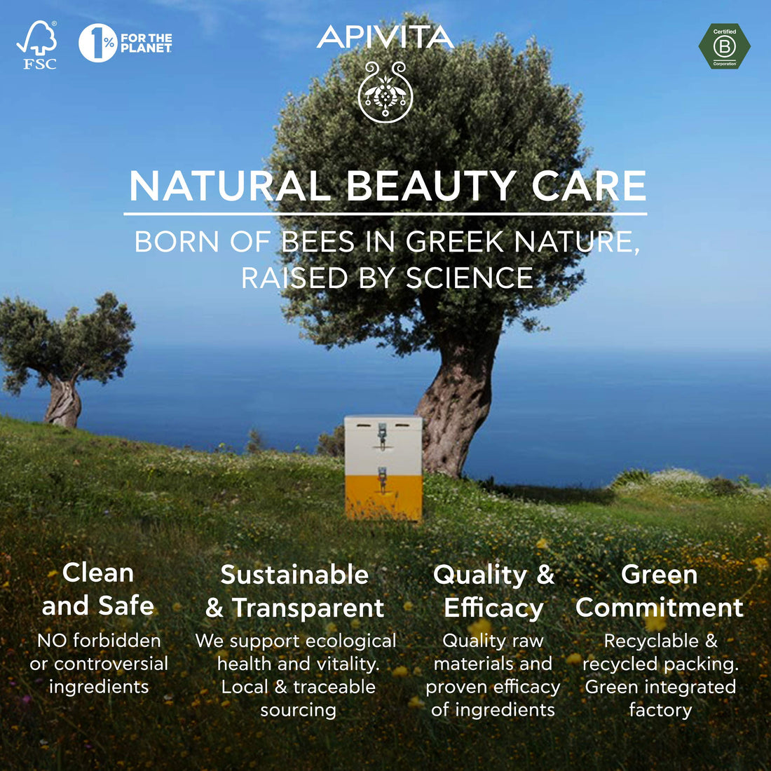 APIVITA Gentle Foam Cleanser for the Intimate Area, pH Balancing Feminine Wash Apivita buy supplements canada
