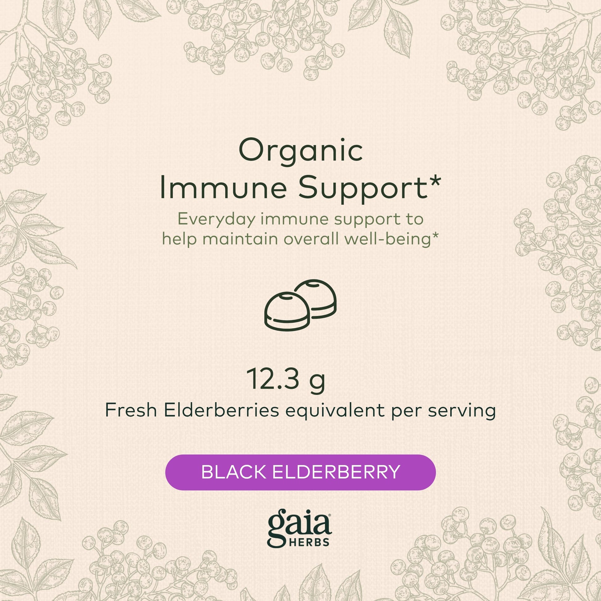 Gaia Herbs Black Elderberry (Sambucus Nigra) Extra Strength Gummies Gaia Herbs buy supplements canada