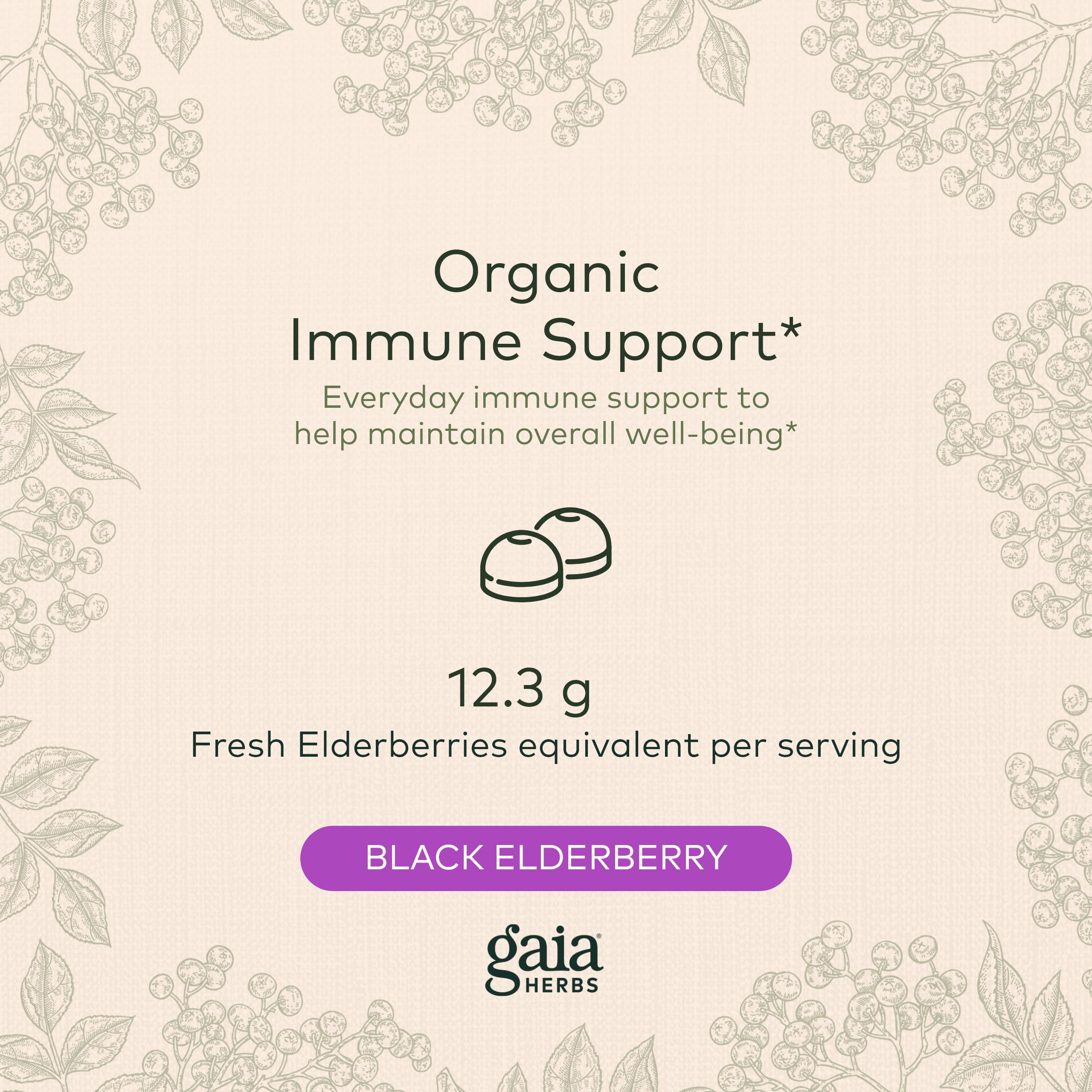 Gaia Herbs Black Elderberry (Sambucus Nigra) Extra Strength Gummies Gaia Herbs buy supplements canada