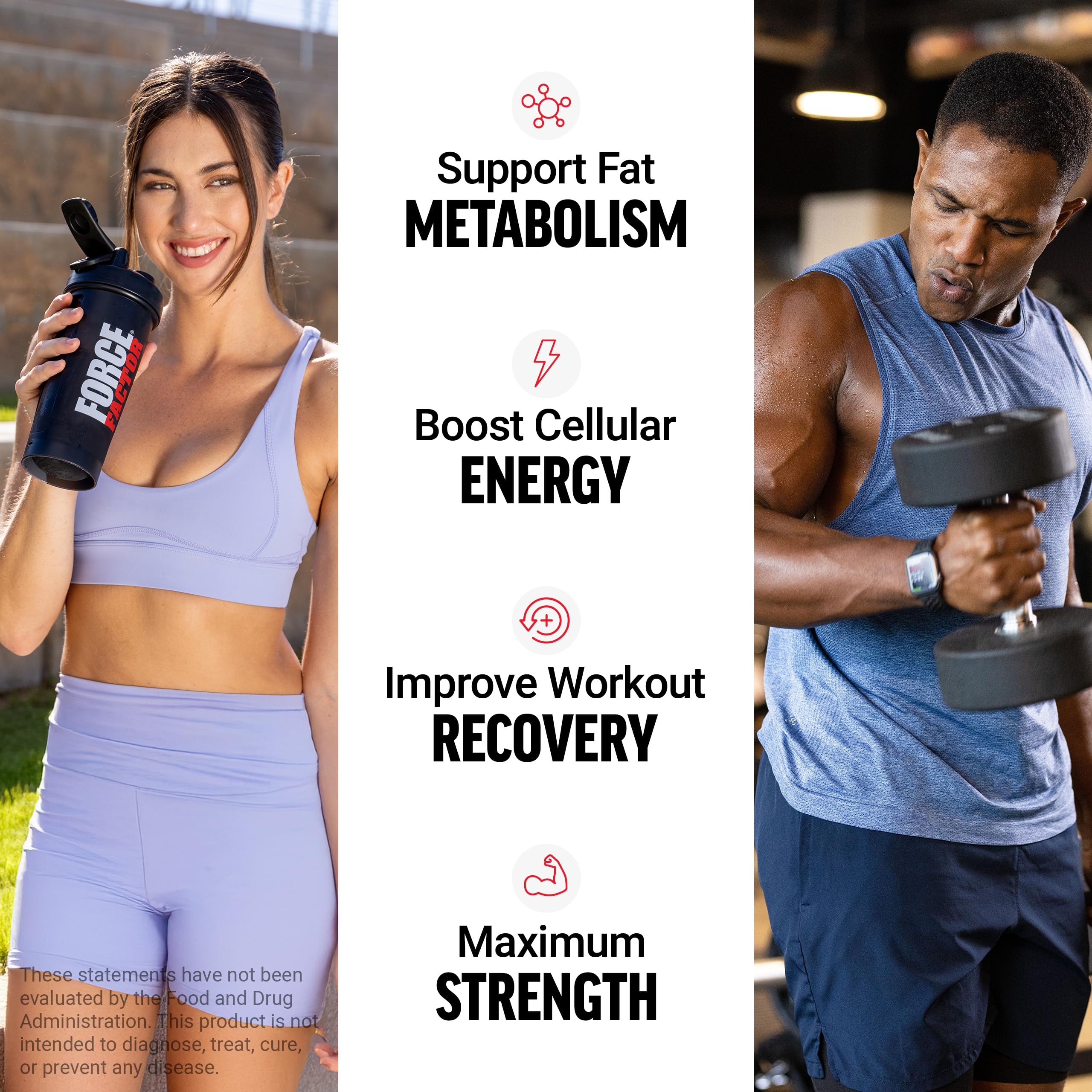 Force Factor L-Carnitine Liquid 3000mg, Maximum Strength Supplement to Support Fat Metabolism, Cellular Energy & Muscle Recovery, High Absorbing Force Factor buy supplements canada