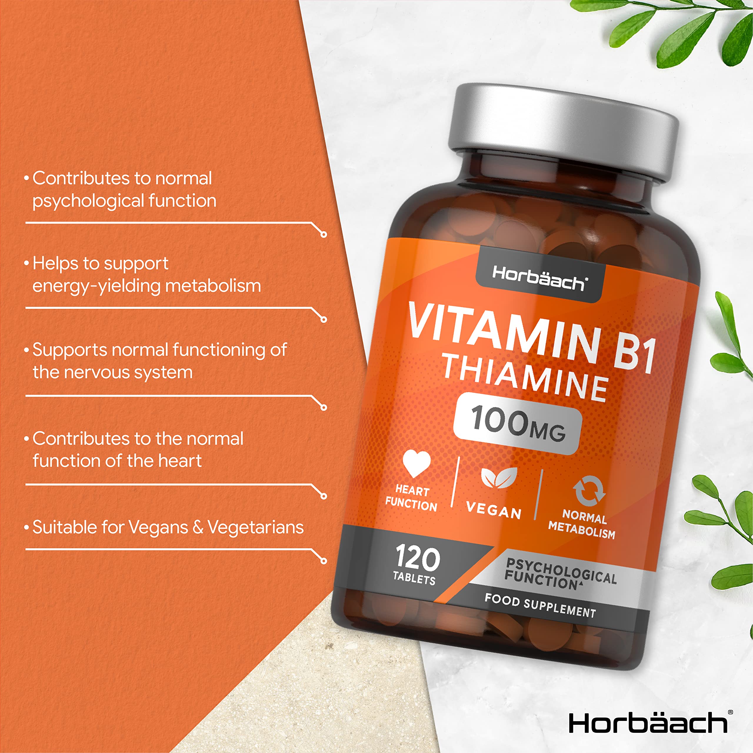 Vitamin B1 Thiamine High Strength 100mg | 120 Vegan Tablets | No Artificial Horbäach buy supplements canada