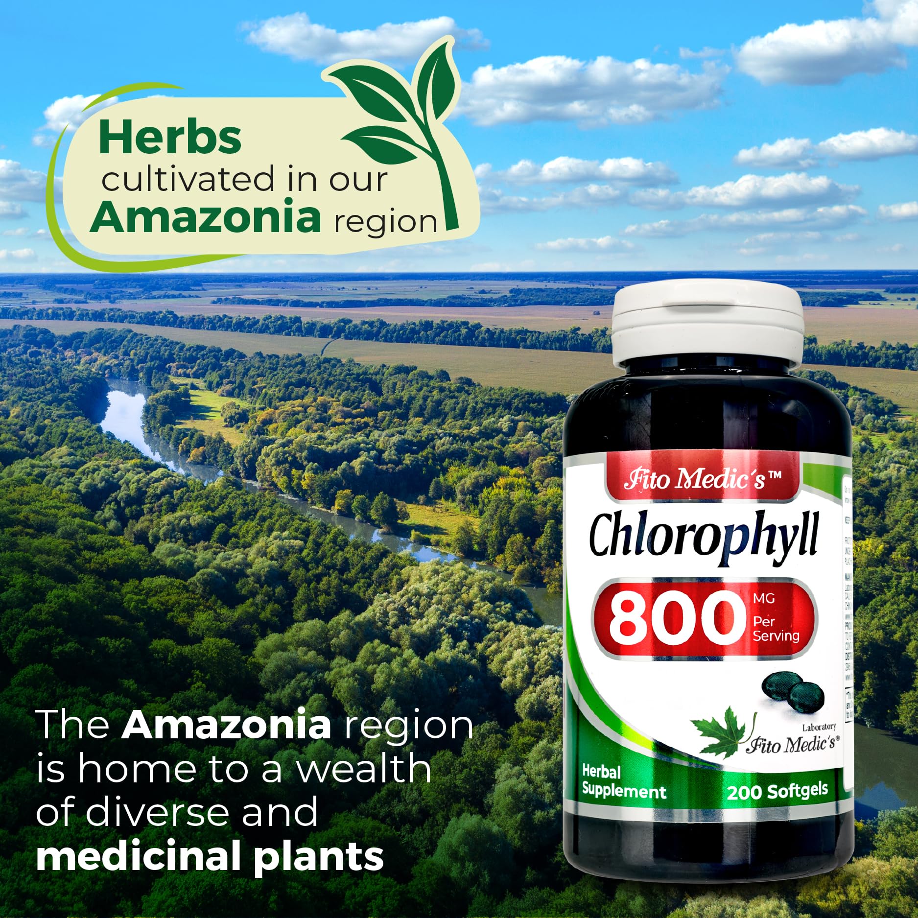 FITO MEDIC'S Lab Chlorophyll Supplement, 200 Softgels, Chlorophyll Capsules FITO MEDIC'S buy supplements canada