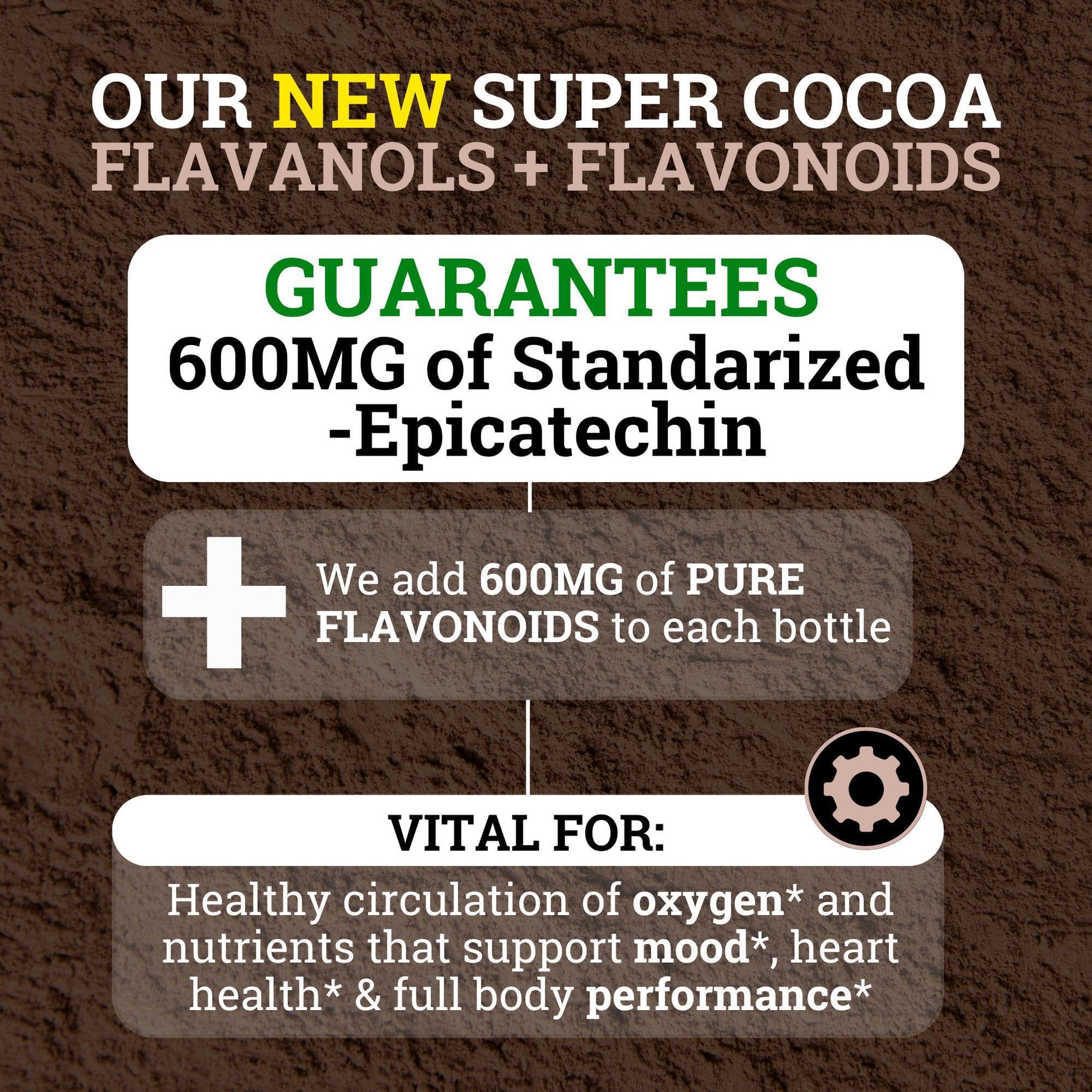 Black Forest High Flavanol Cocoa Powder (1200mg Flavanols & Flavonoids Supplements)10X More Flavanols (Epicatechin) Than Cocoa & 600mg of Epicatechin Supplement Black Forest buy supplements canada