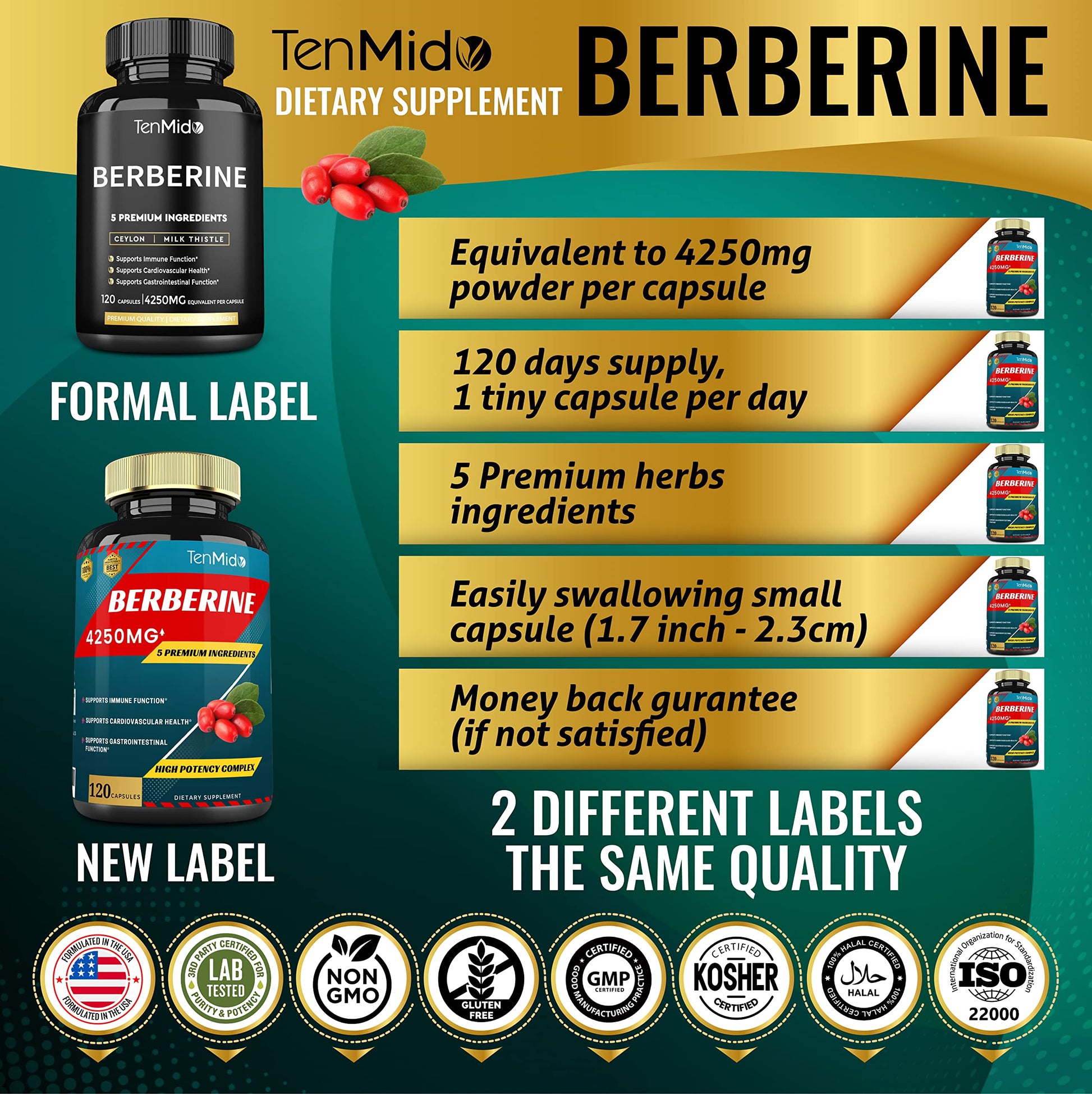 Berberine Extract Capsules 4250mg, 4 Months Supply & Ceylon, Milk Thistle, Turmeric Tenmido buy supplements canada