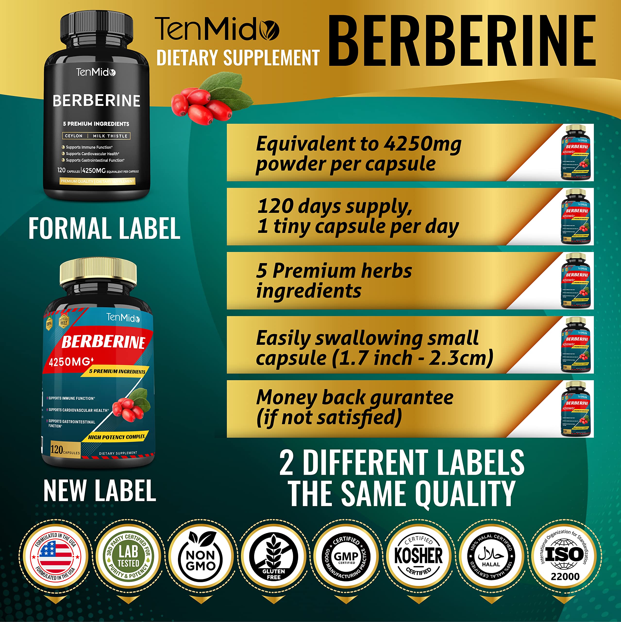 Berberine Extract Capsules 4250mg, 4 Months Supply & Ceylon, Milk Thistle, Turmeric Tenmido buy supplements canada