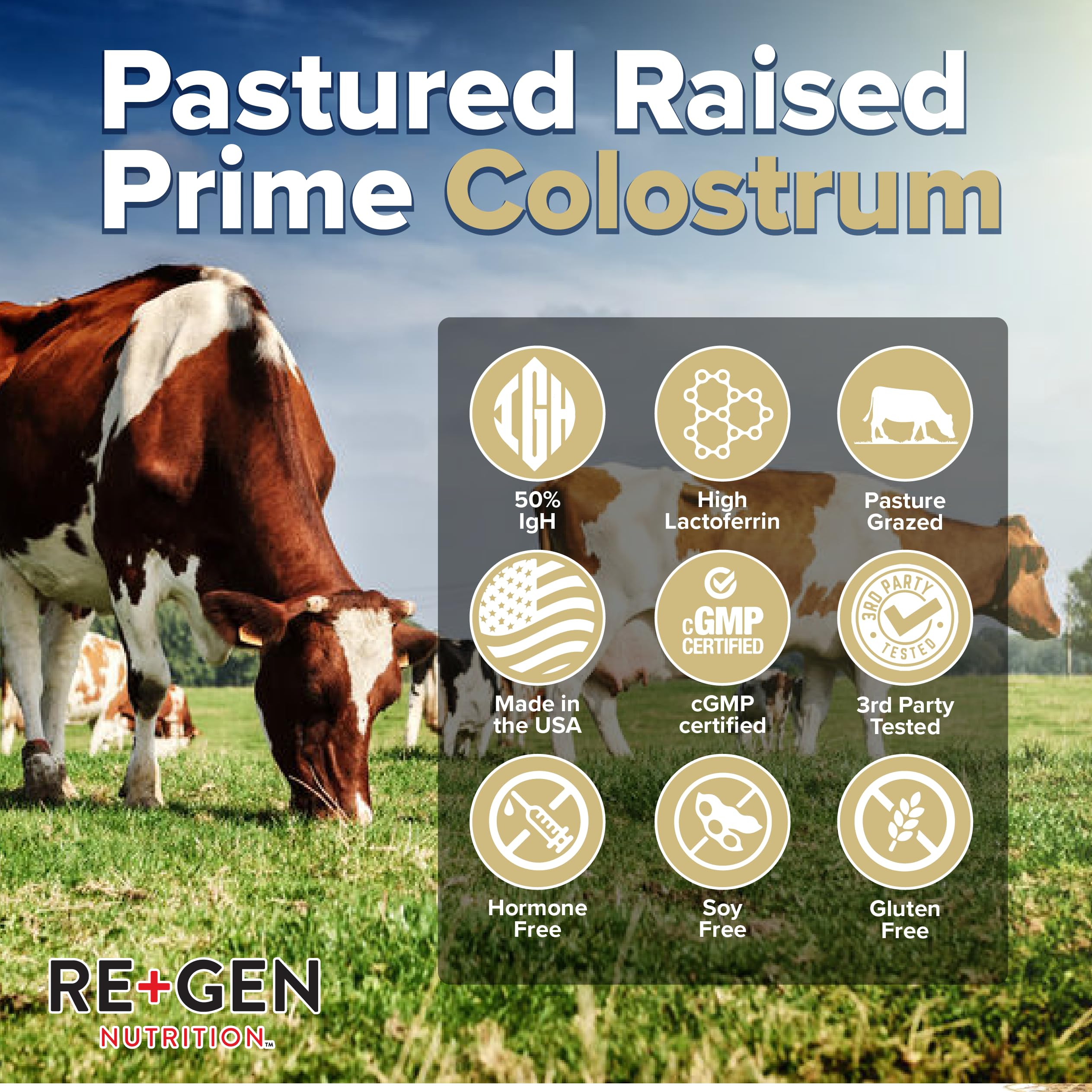 Re+Gen Nutrition Colostrum Gold 50 Bovine Colostrum Powder for Gut Health, Immune Support & Muscle Recovery – 50% IgG Concentration, Grass Fed, Gluten Free, No Artificial Ingredients Re+Gen Nutrition buy supplements canada