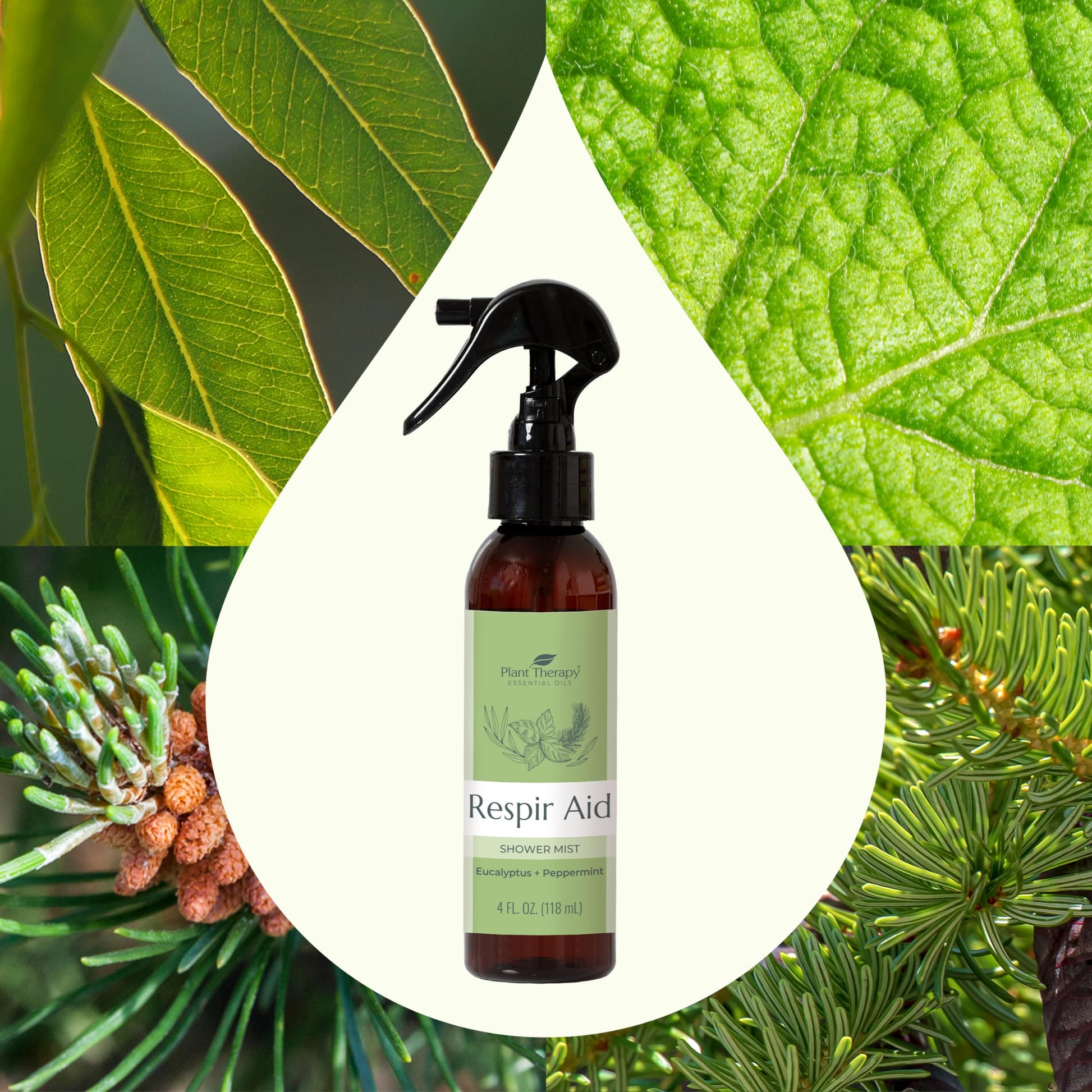 Plant Therapy Respir Aid Shower Mist 4 oz Refreshing & Crisp Aroma, Great to Help Clear Congestion Plant Therapy buy supplements canada