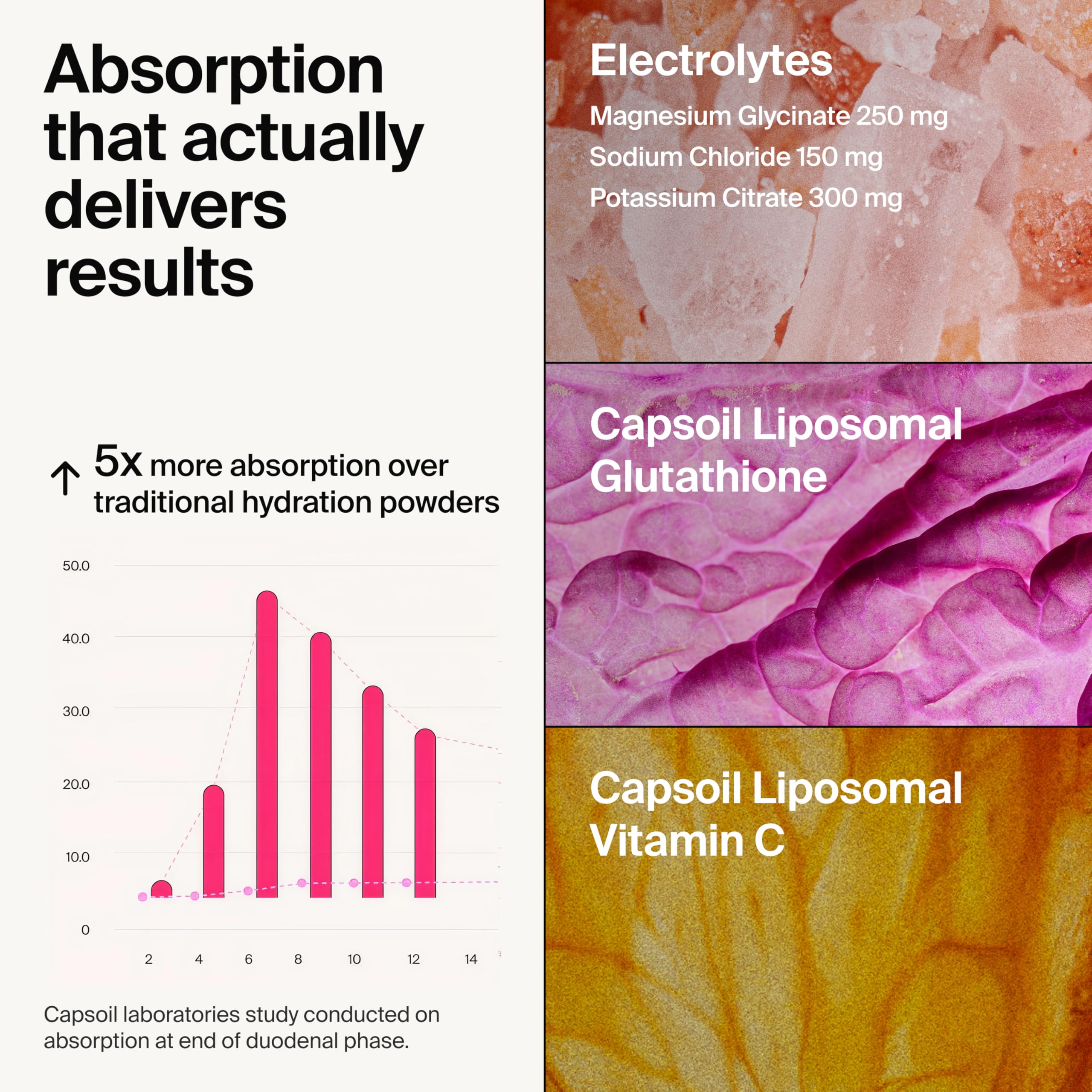 The Absorption Company Electrolyte Powder Packets - Workout Recovery & Hydration Drink Mix with Liposomal Glutathione, Vitamin C & Methylated B Vitamins The Absorption Company buy supplements canada