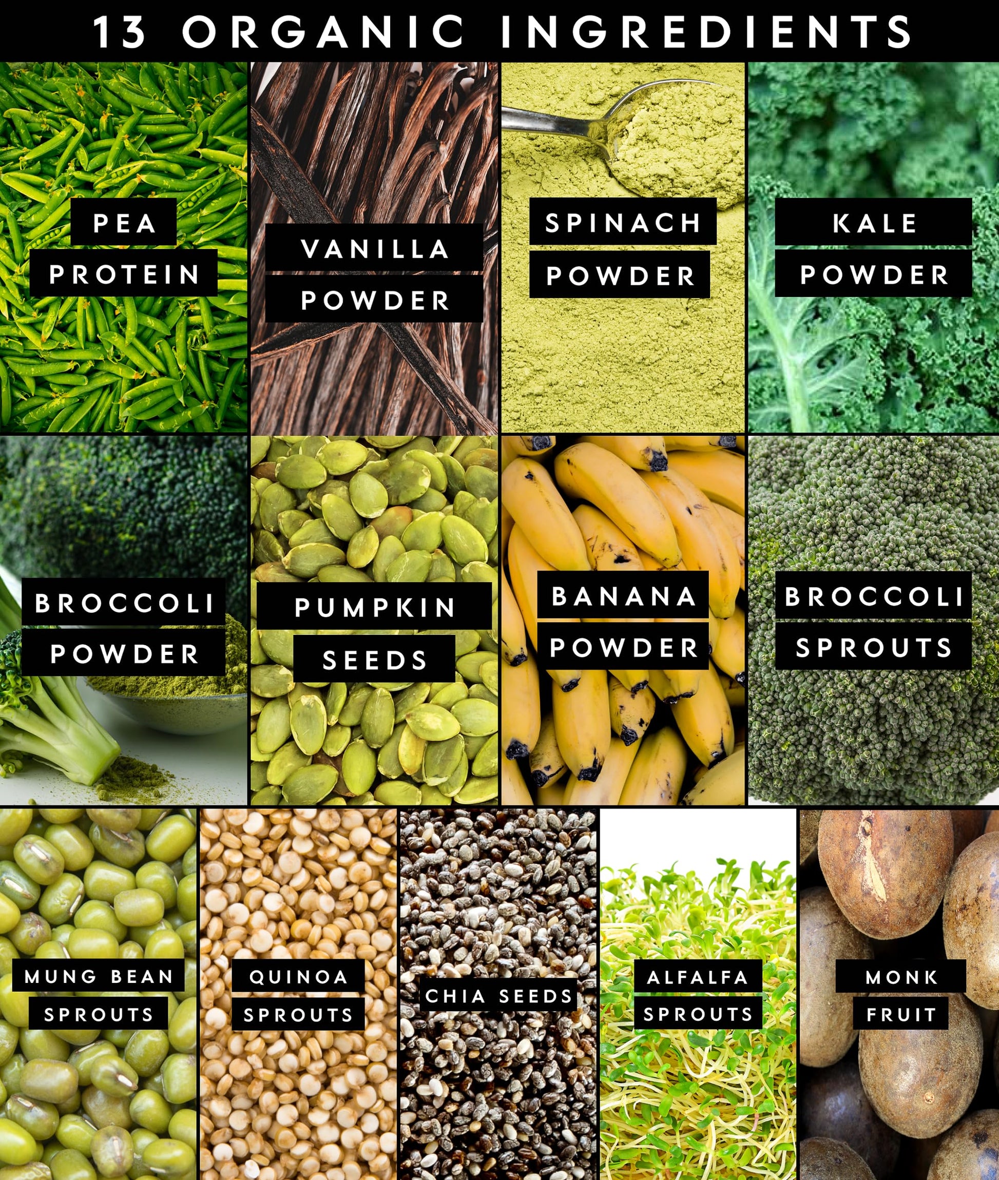 Truvani Protein + Greens Supplement | Spinach, Kale & Broccoli | 10g Organic Plant Based Protein | 20 Servings | USDA Organic | Gluten & Dairy Free Truvani buy supplements canada