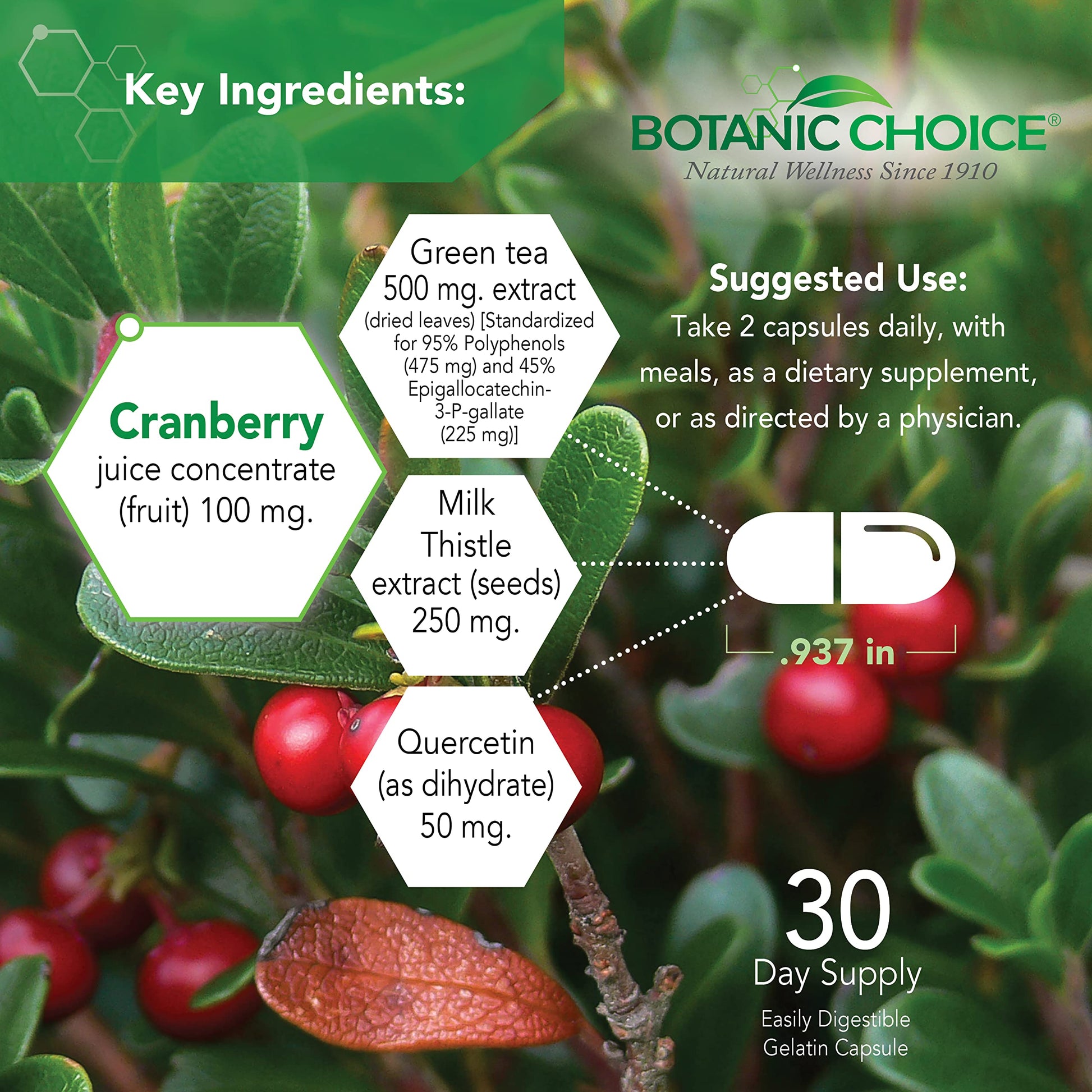 Botanic Choice Ultra Kidney Complex - Optimal Kidney Support with Milk Thistle, Green Tea & More- 60 Capsules Botanic Choice buy supplements canada