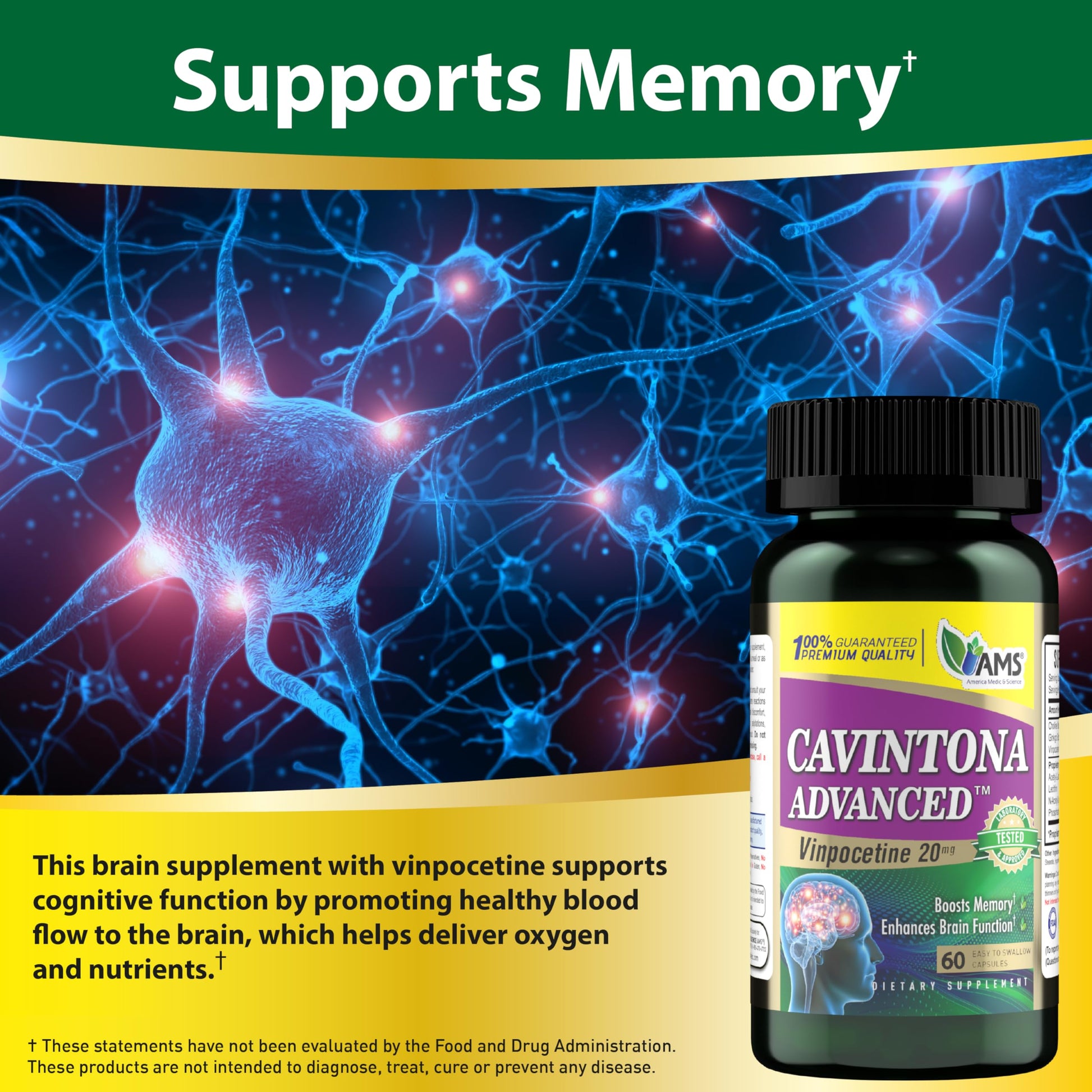 America Medic & Science Cavintona Advanced Supplement – Vinpocetine 20mg for Memory, Recall & Brain Health – Supports Cognitive Function, Focus, Mental Clarity & Blood Flow – 60 Capsules America Medic & Science buy supplements canada