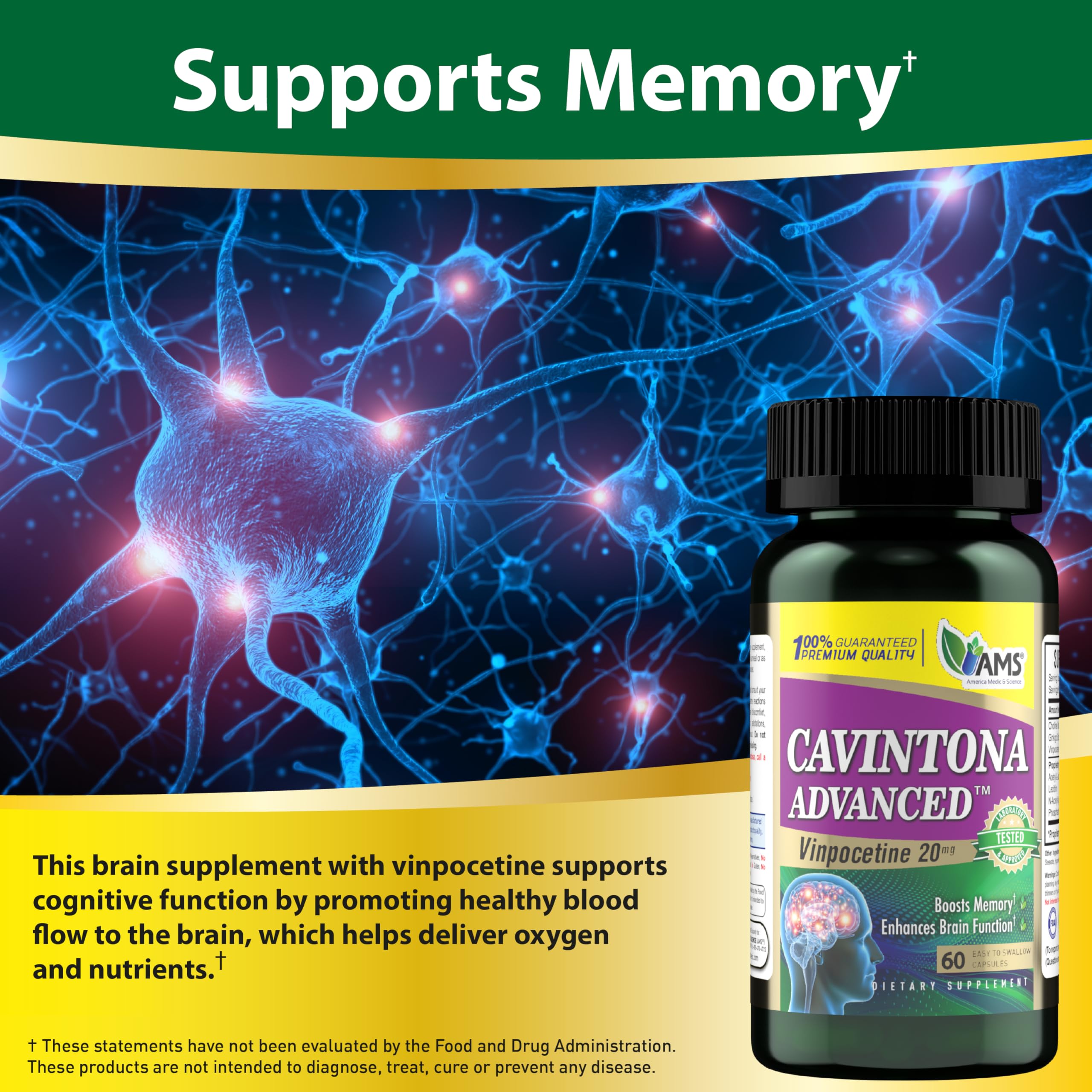 America Medic & Science Cavintona Advanced Supplement – Vinpocetine 20mg for Memory, Recall & Brain Health – Supports Cognitive Function, Focus, Mental Clarity & Blood Flow – 60 Capsules America Medic & Science buy supplements canada