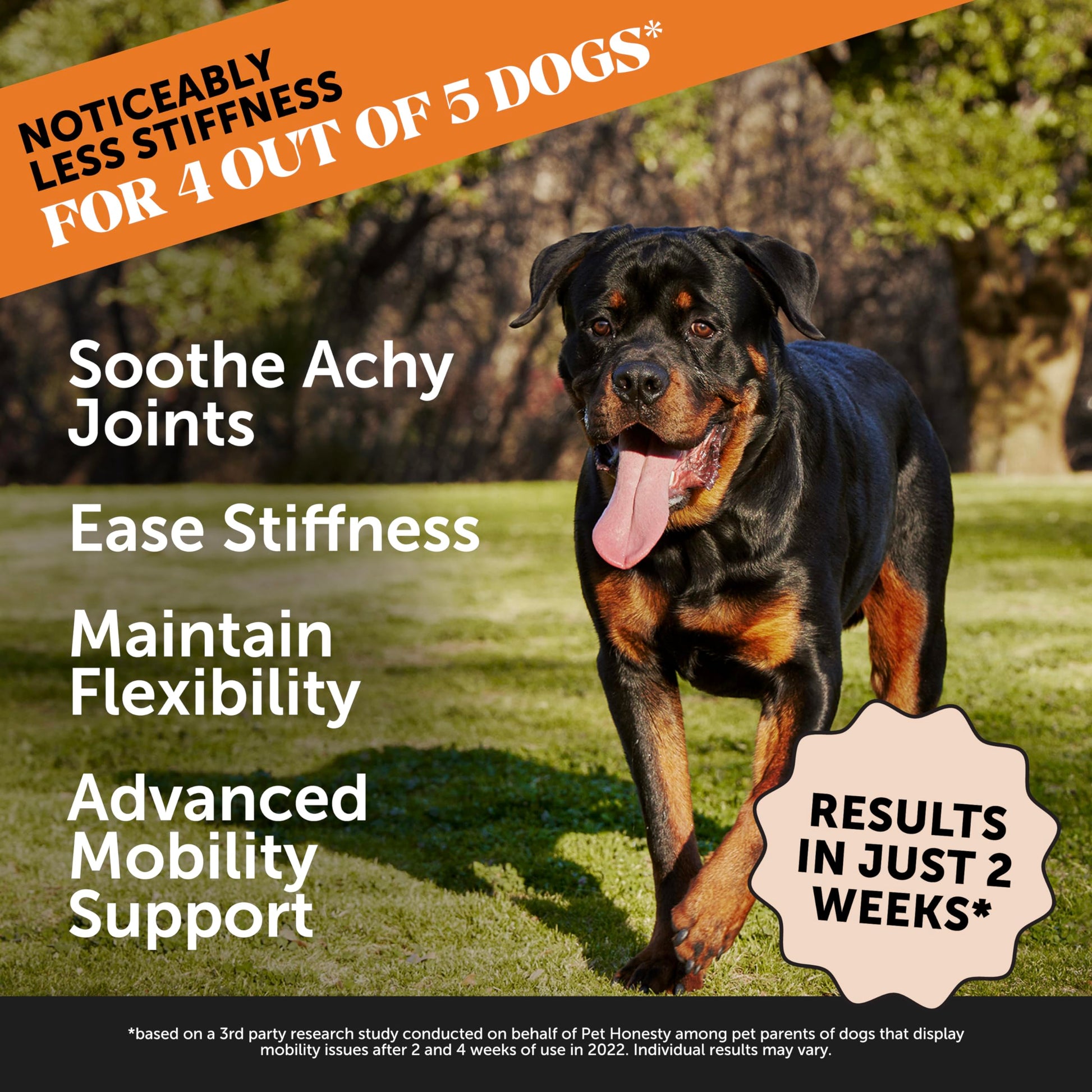 Pet Honesty Hip & Joint Health Max Strength – Dog Joint Support Chews with Glucosamine Chondroitin & Omega-3s – Joint Supplement for Dogs to Support Mobility, Flexibility & Comfort – Bacon (90 ct) Pet Honesty buy supplements canada