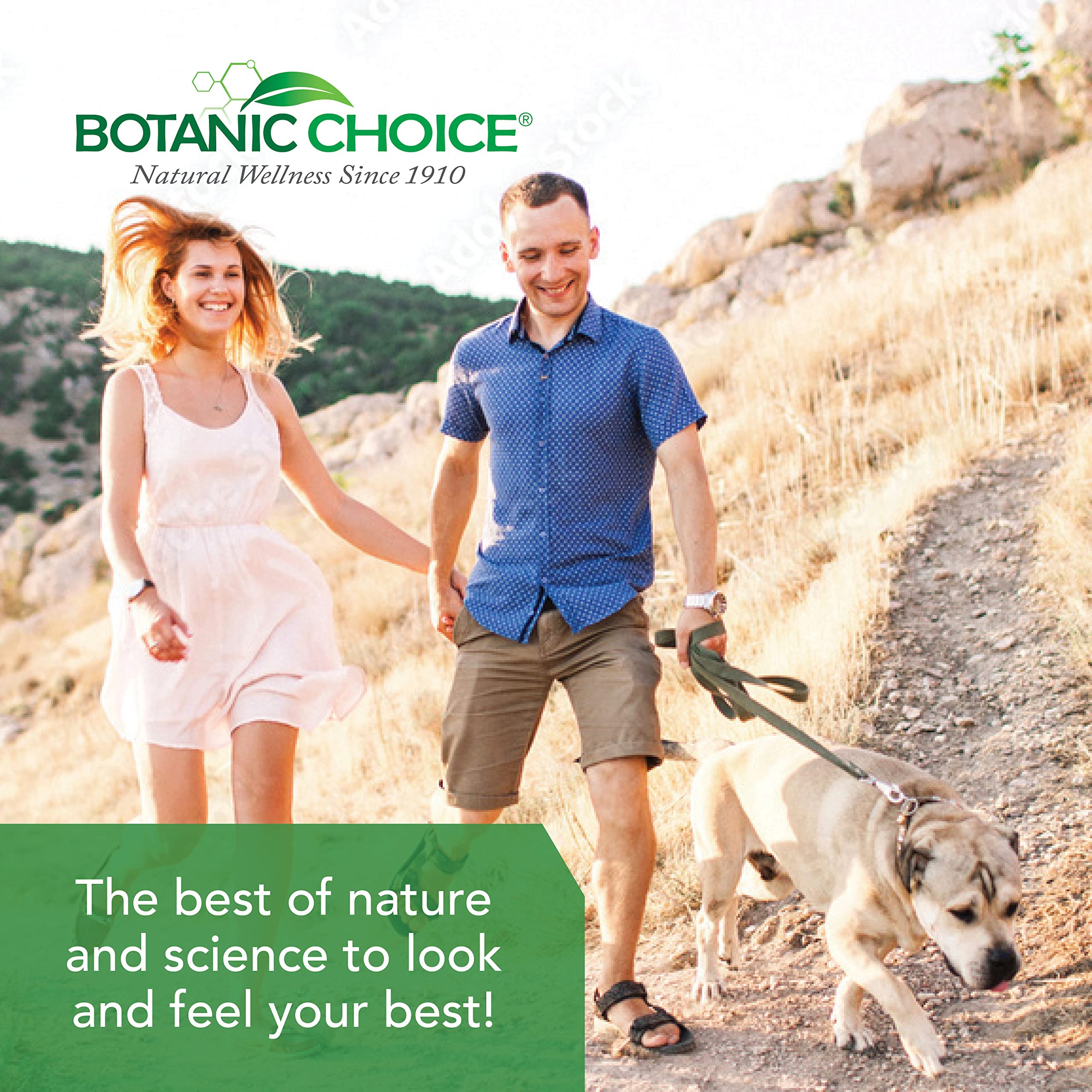 Botanic Choice Ultra Kidney Complex - Optimal Kidney Support with Milk Thistle, Green Tea & More- 60 Capsules Botanic Choice buy supplements canada