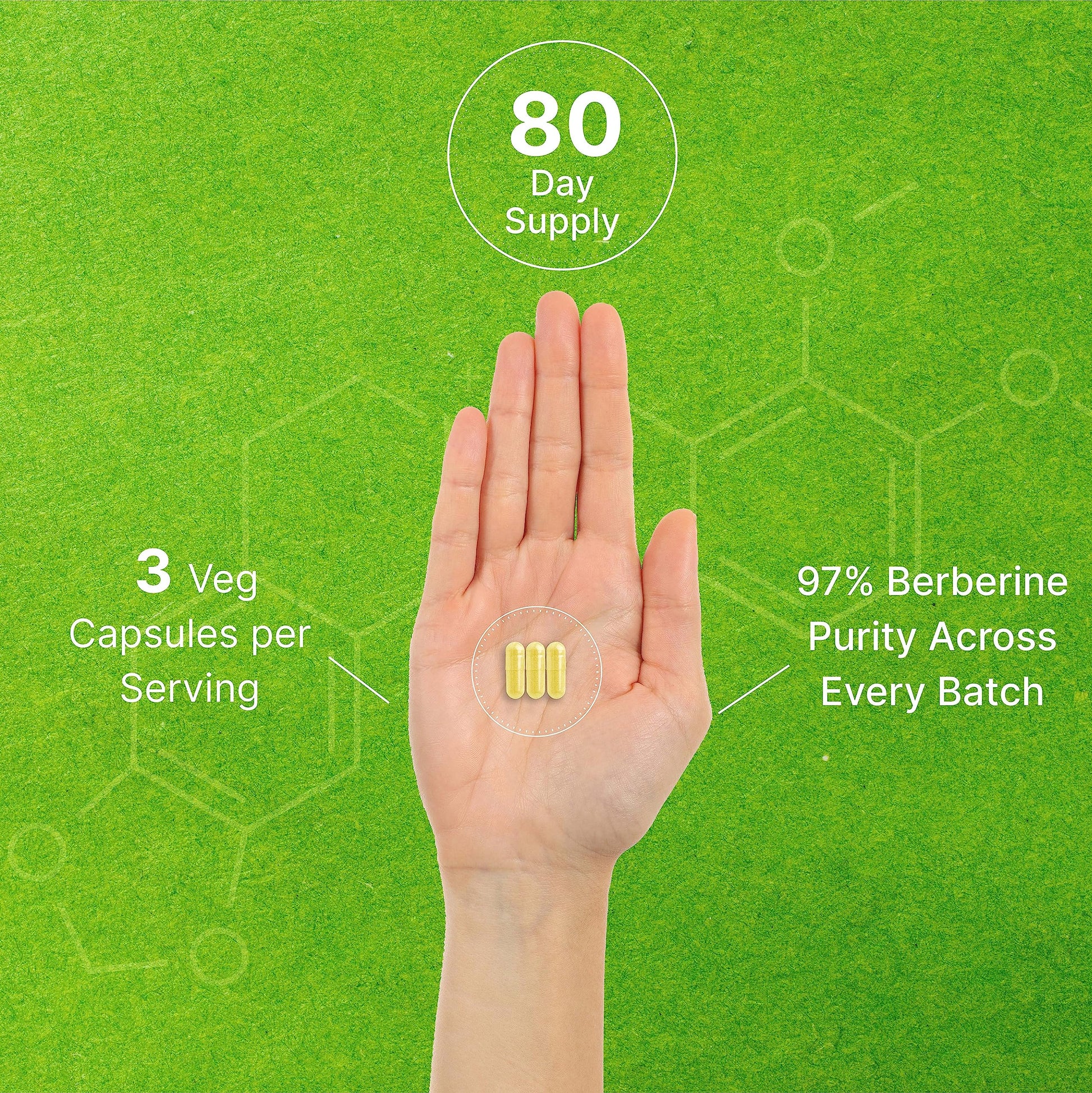 Berberine Supplement 500mg Per Capsule (1500mg Per Serving) | 240 Veggie Capsules DEAL SUPPLEMENT buy supplements canada
