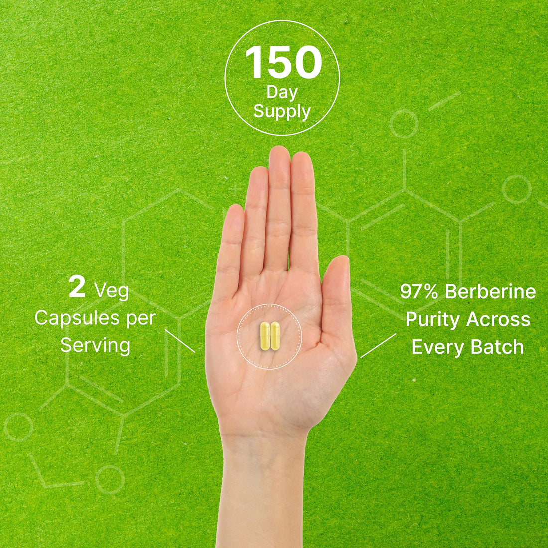 Berberine Supplement, 1,000mg Per Serving, 300 Veggie Capsules – 97% Pure Berberine DEAL SUPPLEMENT buy supplements canada