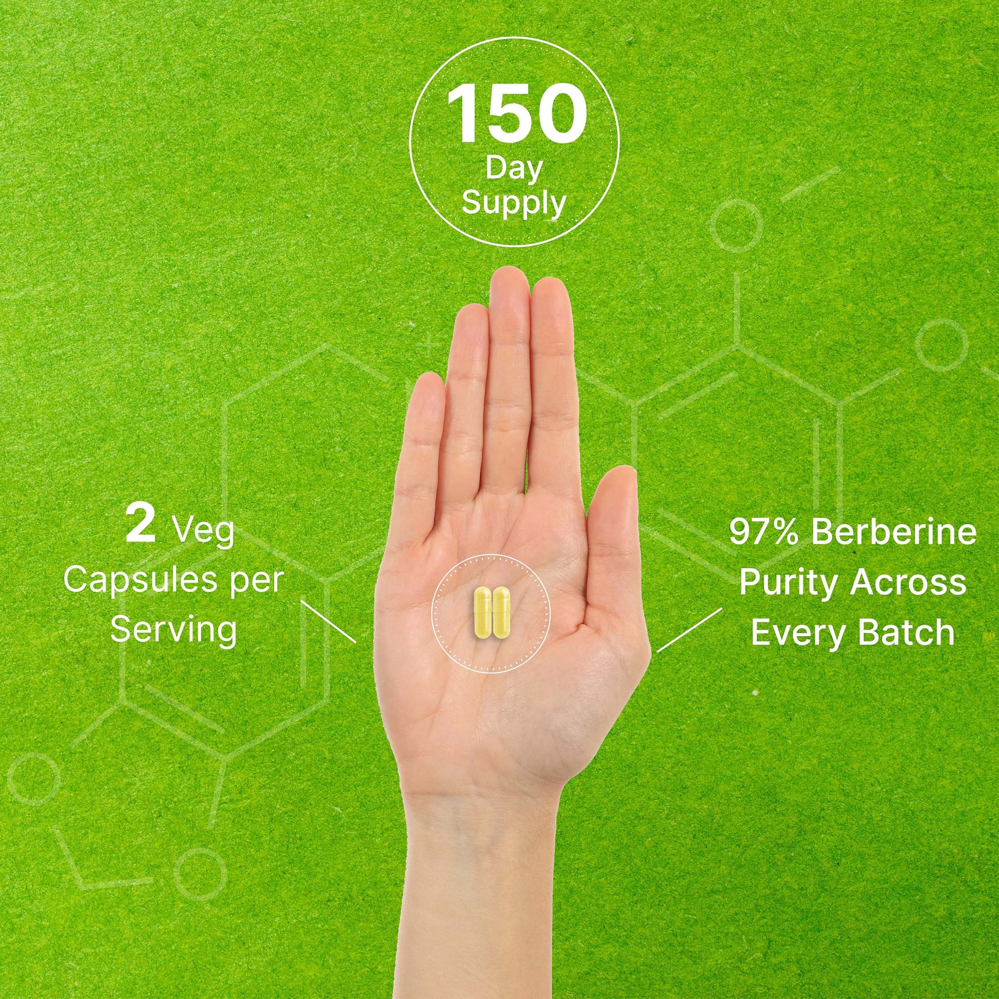 Berberine Supplement, 1,000mg Per Serving, 300 Veggie Capsules – 97% Pure Berberine DEAL SUPPLEMENT buy supplements canada