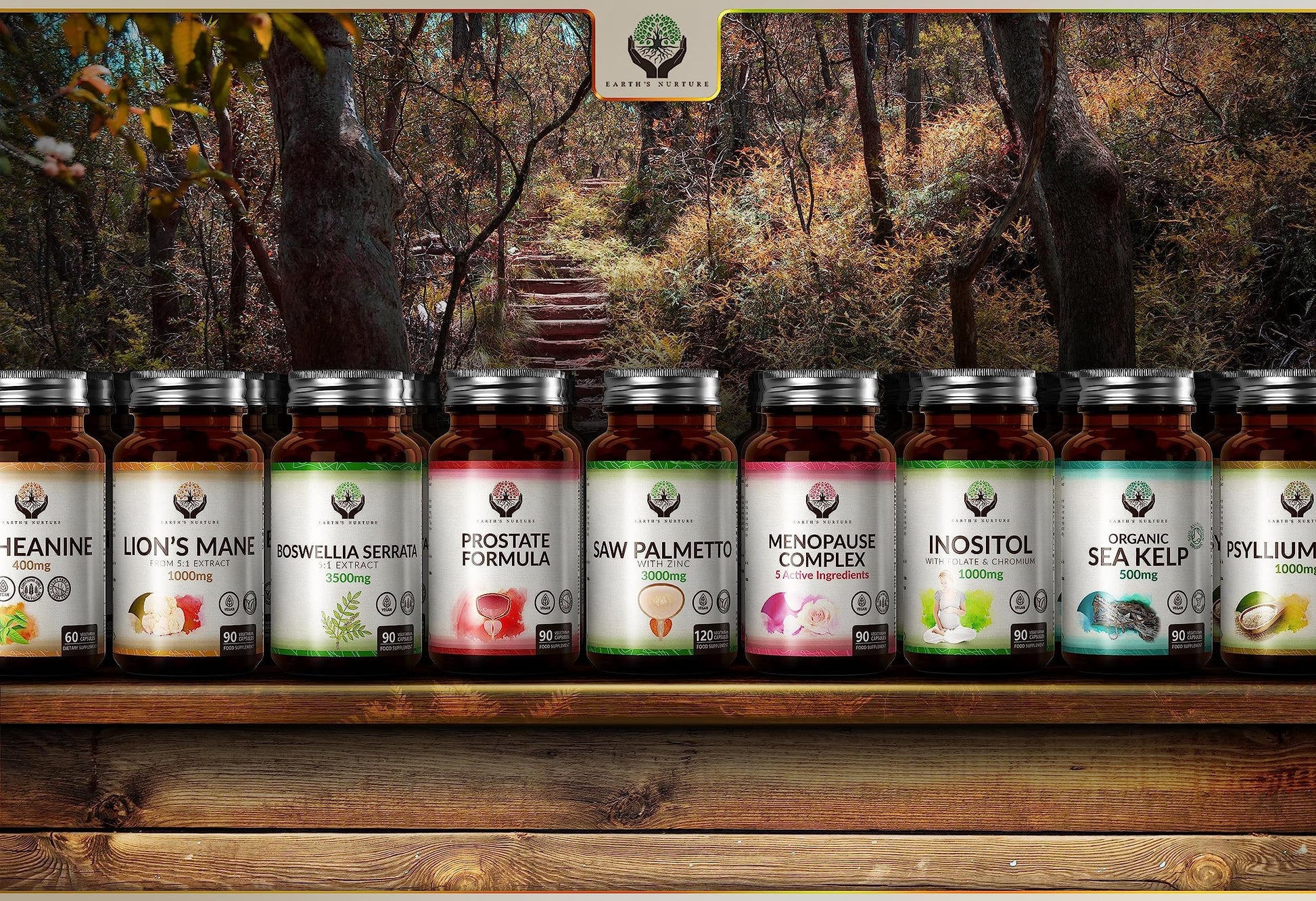 EN Myo-Inositol Chromium & Folate Blend | 1000mg Myo Inositol Per Serving | 180 Vegan Earth's Nurture buy supplements canada