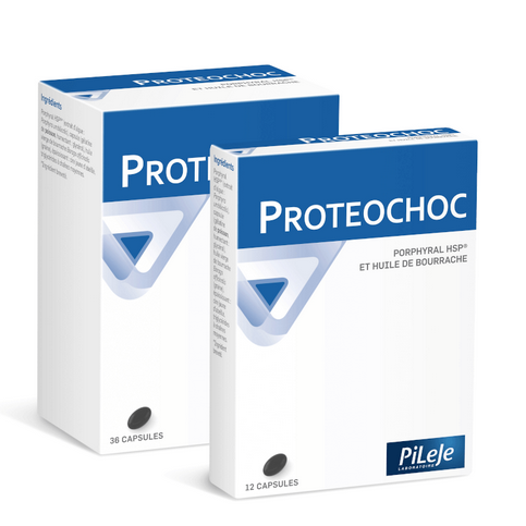 PROTEOCHOC capsules - PILEJE PILEJE buy supplements canada