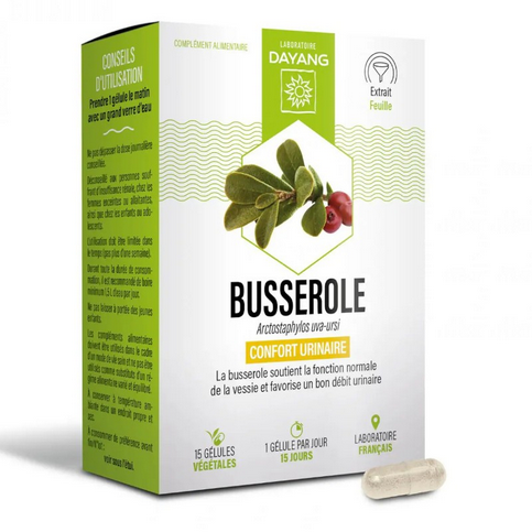 Bearberry 15 capsules - DAYANG DAYANG buy supplements canada