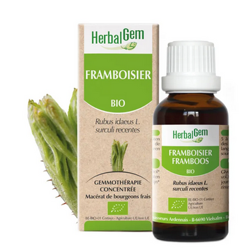 Framboisier BIO Macérat mère Bourgeons Flacon 30 ml HERBALGEM