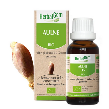 Aulne BIO Macerat mère bourgeons Flacon 30 ml HERBALGEM