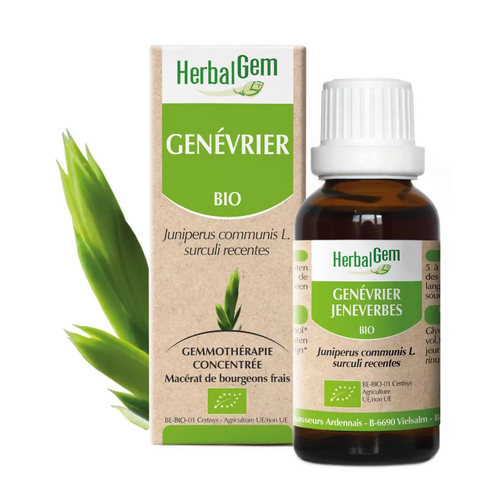 Genevrier BIO Macerat mère bourgeons Flacon 30 ml HERBALGEM