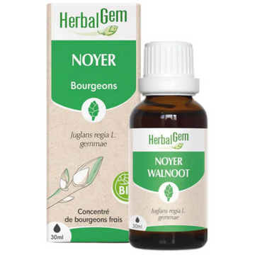 Noyer BIO Macérat mère bourgeons Flacon 50 ml HERBALGEM