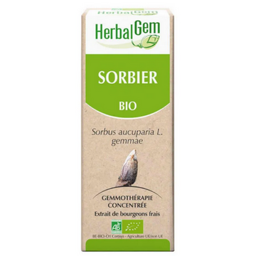 Sorbier BIO Macérat mère Flacon 30 ml HERBALGEM