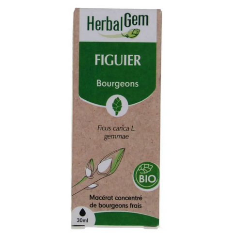 Figuier BIO Macérat mère bourgeons Flacon 30 ml HERBALGEM