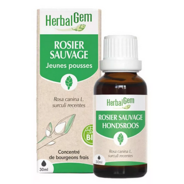 Rosier sauvage BIO Macérat mère jeunes pousses Flacon 30 ml HERBALGEM