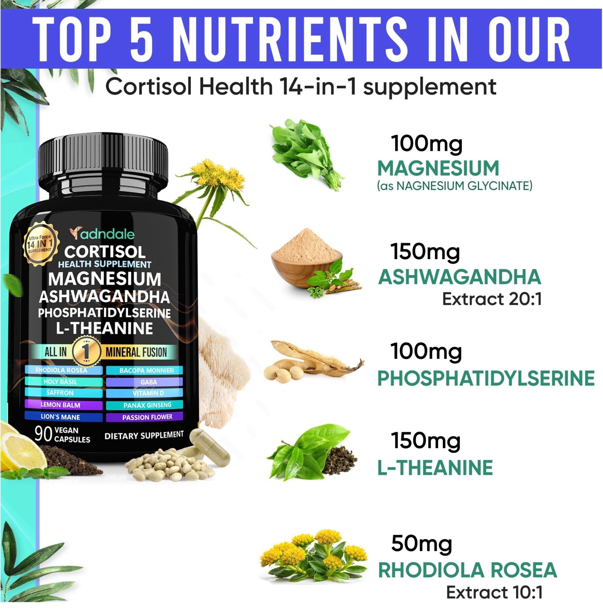 Adndale Cortisol Supplements for Women. Cortisol Reducer 14-in-1 Ashwagandha Supplement with Magnesium Glycinate, L-Theanine & More. 90 Capsules. - OzHealthStandard