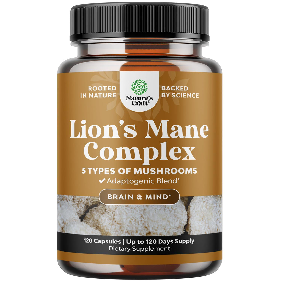 Advanced Lion's Mane Mushroom Supplement - Lions Mane Supplement Capsules with Reishi Chaga Maitake & Shiitake for Brain Health Memory Support & Focus - Nootropic for Mental Clarity - 120 Count - OzHealthStandard