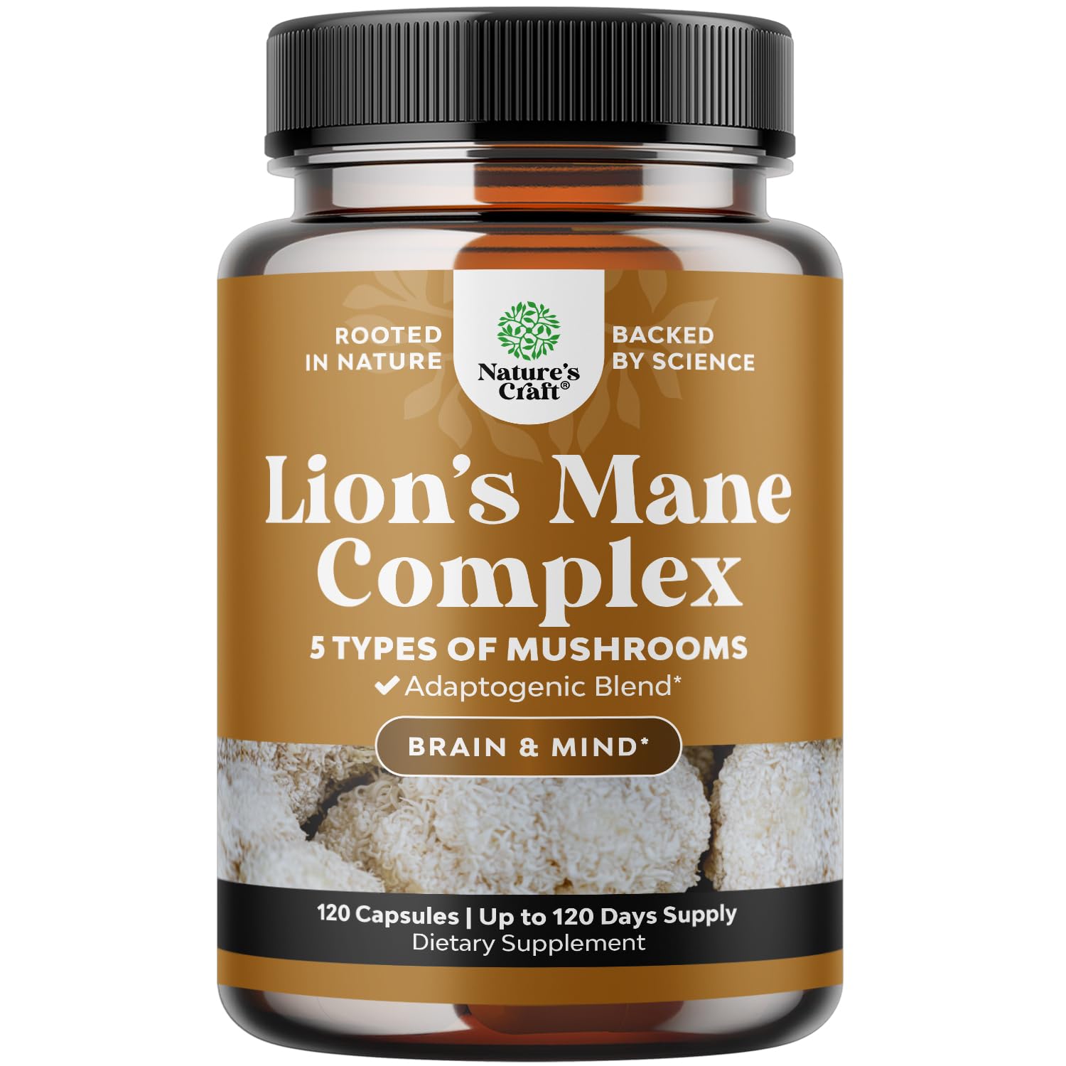 Advanced Lion's Mane Mushroom Supplement - Lions Mane Supplement Capsules with Reishi Chaga Maitake & Shiitake for Brain Health Memory Support & Focus - Nootropic for Mental Clarity - 120 Count - OzHealthStandard