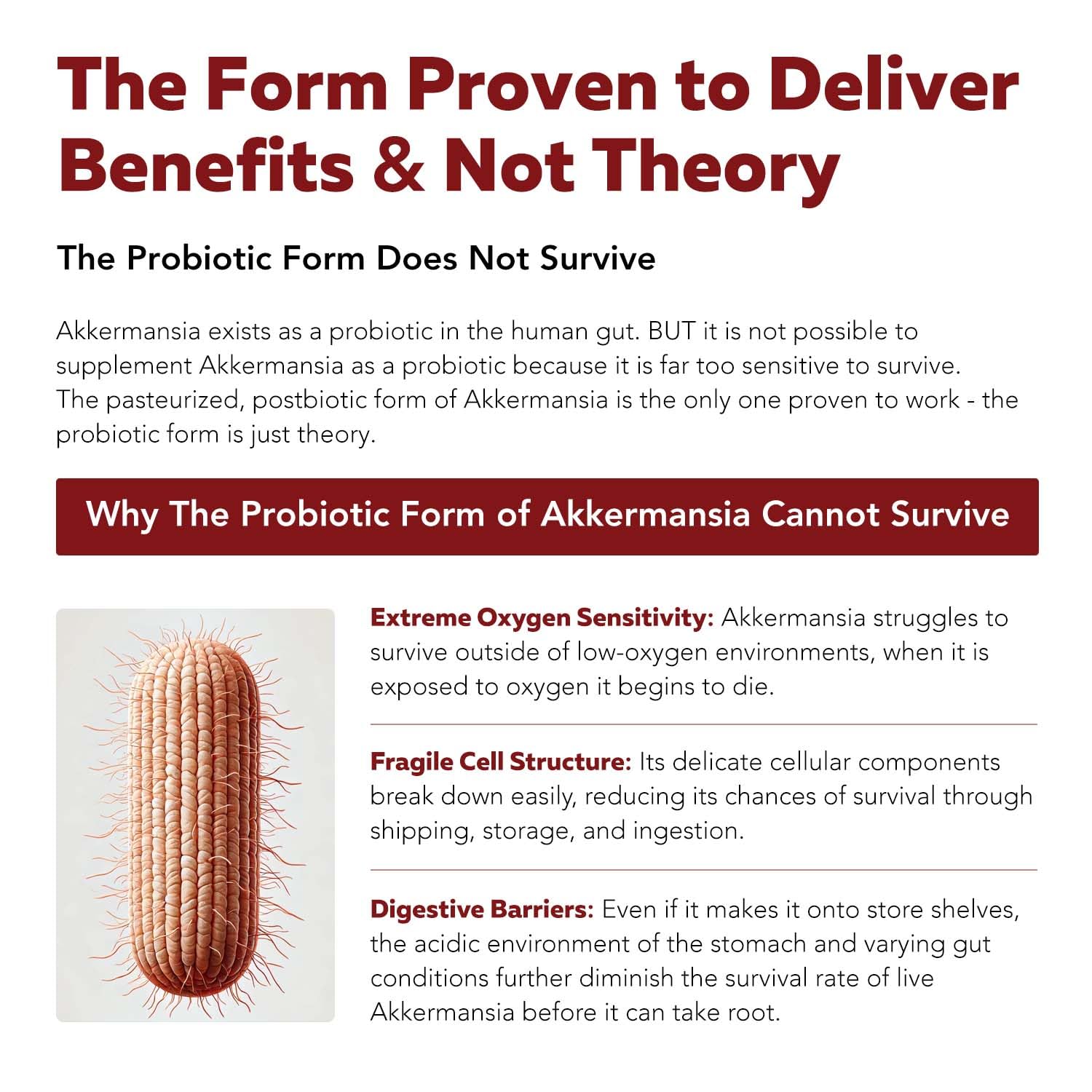 AK-Postbio: Akkermansia Probiotic 30 Billion TFU - Max Strength, Clinically Validated Dose & Patented Strain - Superior Pasteurized Form, Highest Absorption, Delivery - GLP-1 Probiotic - 30 Servings - OzHealthStandard