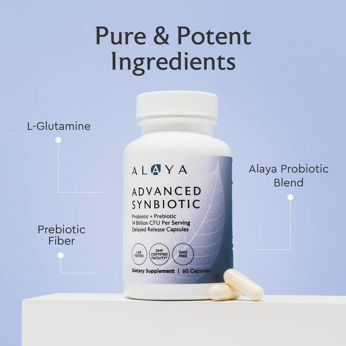 Alaya Naturals Advanced Synbiotic - Probiotic + Prebiotic - 14 Billion CFU Delayed Release Probiotic Supplement with Prebiotics from Sunfiber®, and L-glutamine for Gut Lining Integrity - 60 Capsules - OzHealthStandard