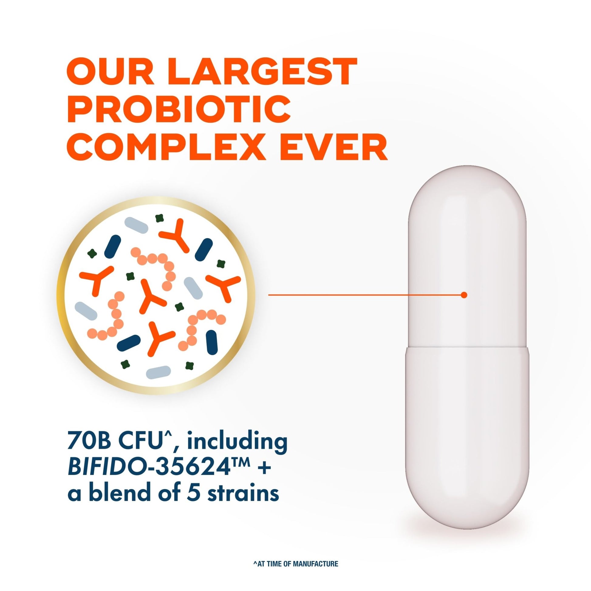 Align Probiotic, 70 Billion CFU, 6 Strain Blend, Probiotics for Women and Men, Daily Probiotics for Digestive Health, Helps Relieve Occasional Bloating & Gas 30 Capsules - OzHealthStandard