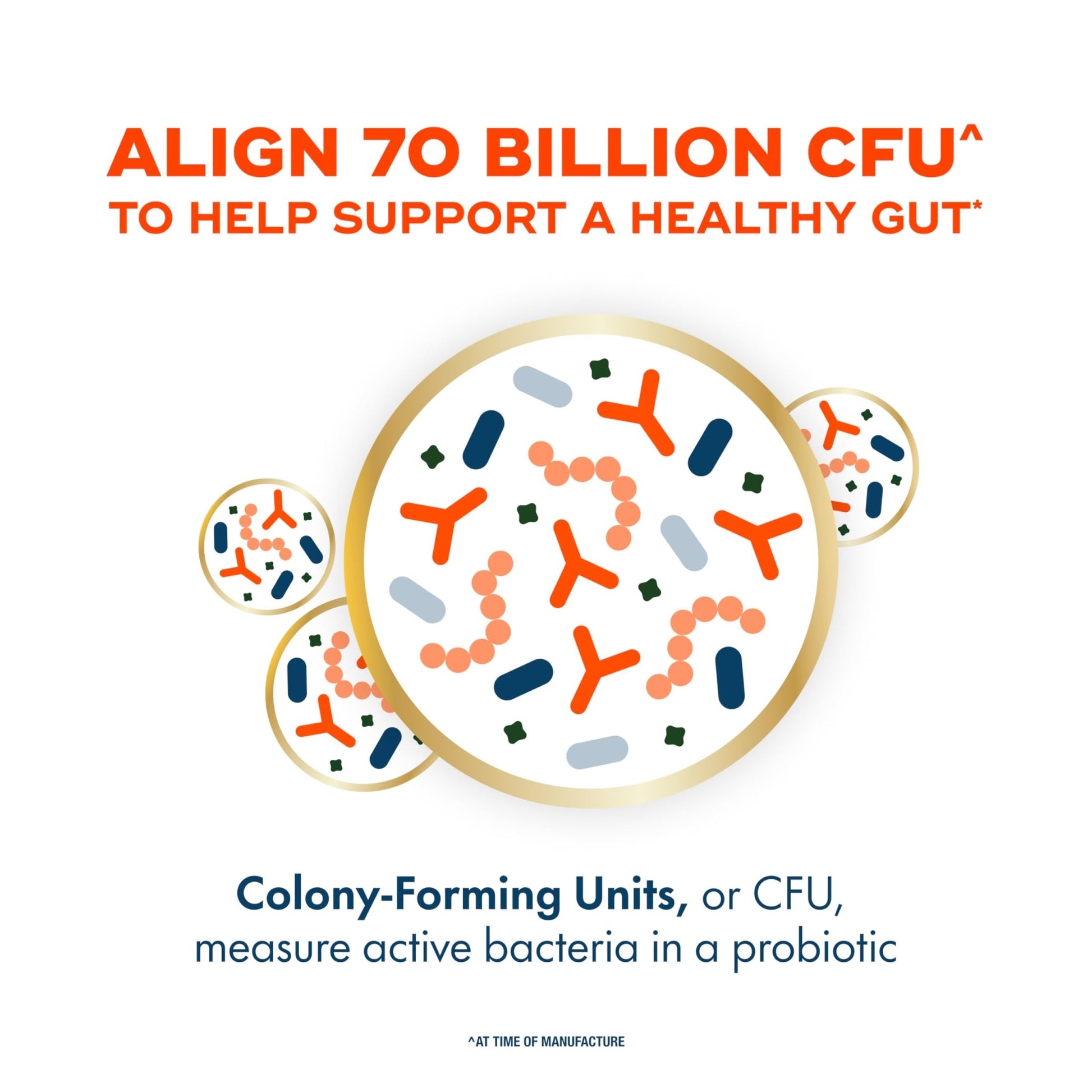 Align Probiotic, 70 Billion CFU, 6 Strain Blend, Probiotics for Women and Men, Daily Probiotics for Digestive Health, Helps Relieve Occasional Bloating & Gas 30 Capsules - OzHealthStandard
