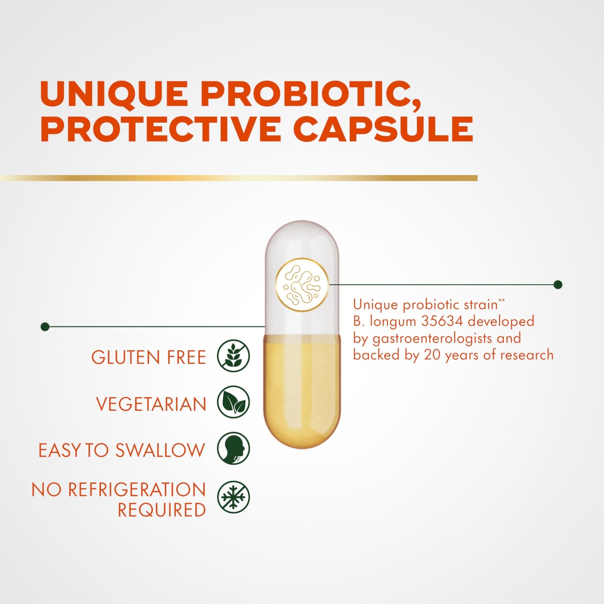 Align Probiotic, Pro Formula, Probiotics for Women and Men, Probiotics for Digestive Health, Men and Womens Probiotic Capsules Help Relieve - OzHealthStandard