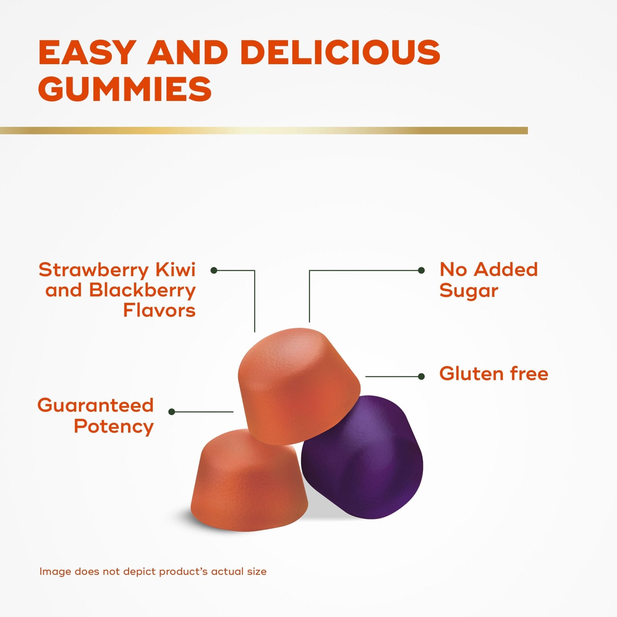 Align Probiotic, Probiotics + Fiber Gummies, Probiotics Help Relieve Occasional Bloating*, Fiber Helps Support a Healthy Digestive System - OzHealthStandard