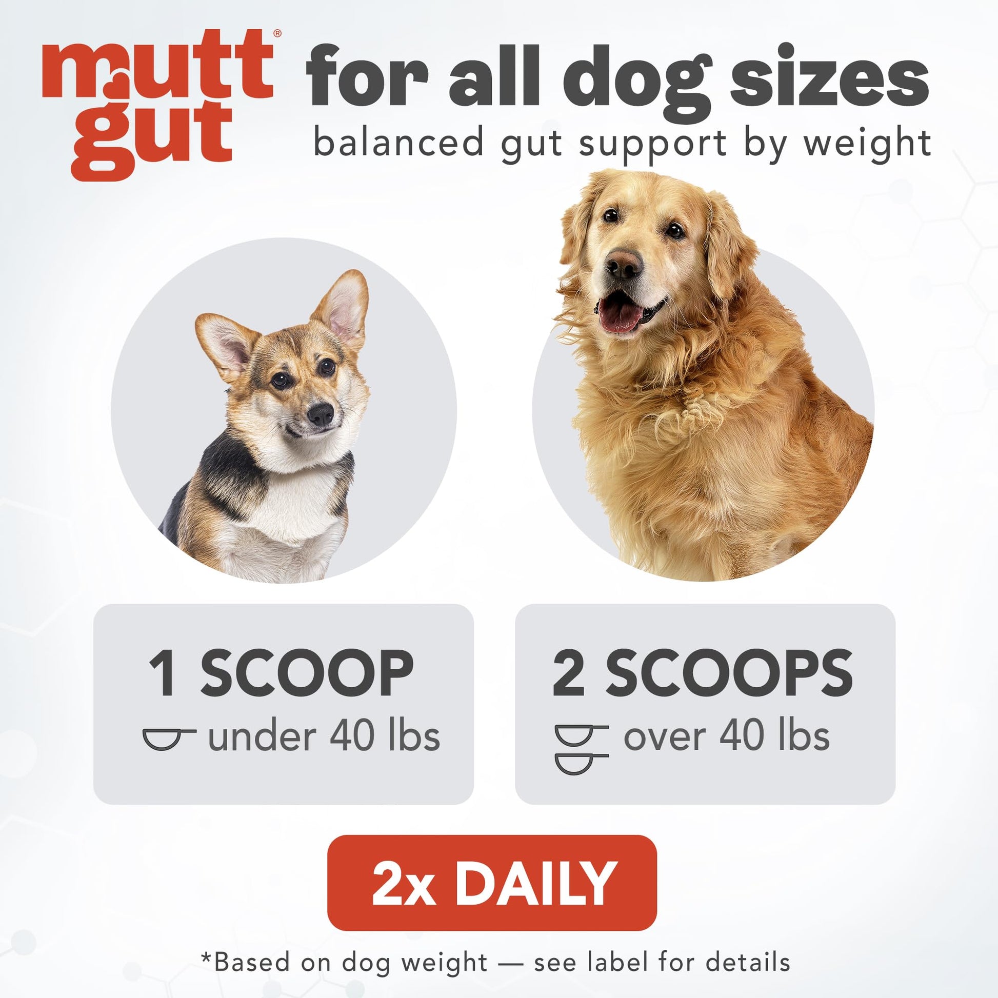 All-Natural 3-in-1 Dog Probiotic, Prebiotic, and Postbiotic Supplement Powder - Probiotics for Dogs with 135 Billion CFUs, Anti Diarrhea, Digestive Enzymes & Antioxidants (60g) - OzHealthStandard
