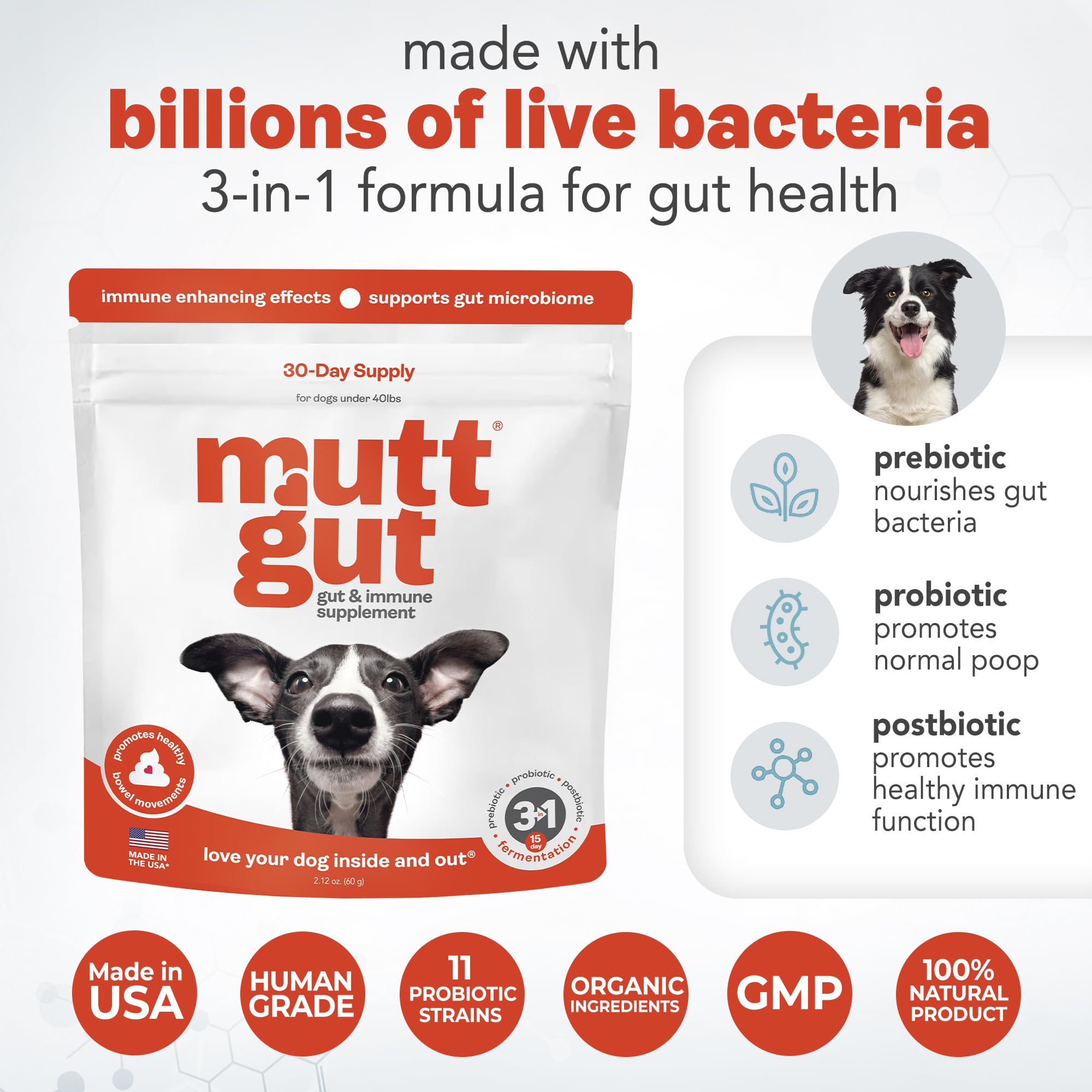All-Natural 3-in-1 Dog Probiotic, Prebiotic, and Postbiotic Supplement Powder - Probiotics for Dogs with 135 Billion CFUs, Anti Diarrhea, Digestive Enzymes & Antioxidants (60g) - OzHealthStandard