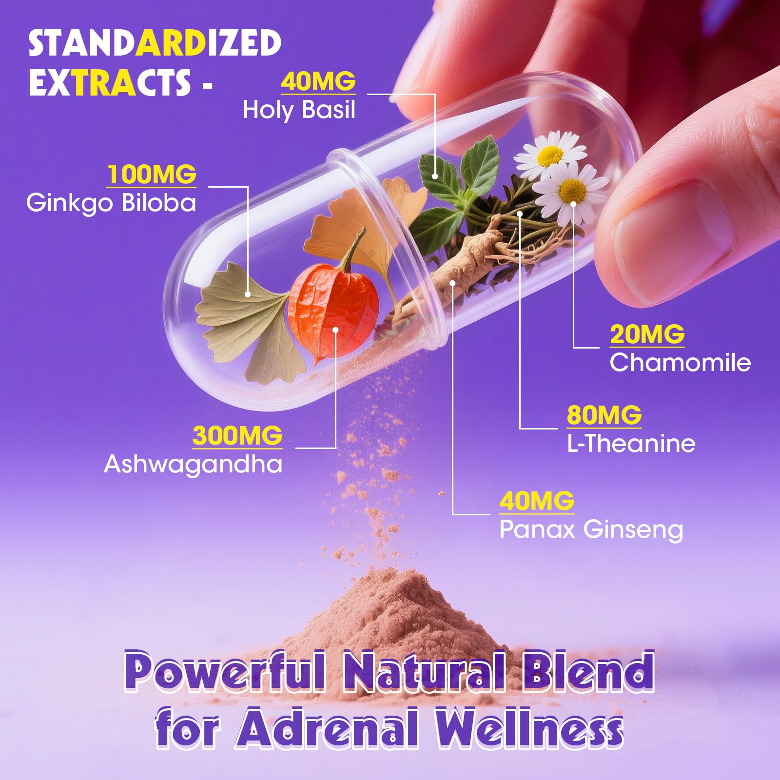 Alliwise Cortisol Supplements for Women & Men - Adrenal Support with Ashwagandha, L-Theanine & Holy Basil for Stress Relief, Mood & Steady Focus - Hormone Balance - 120 Vegan Capsules - OzHealthStandard