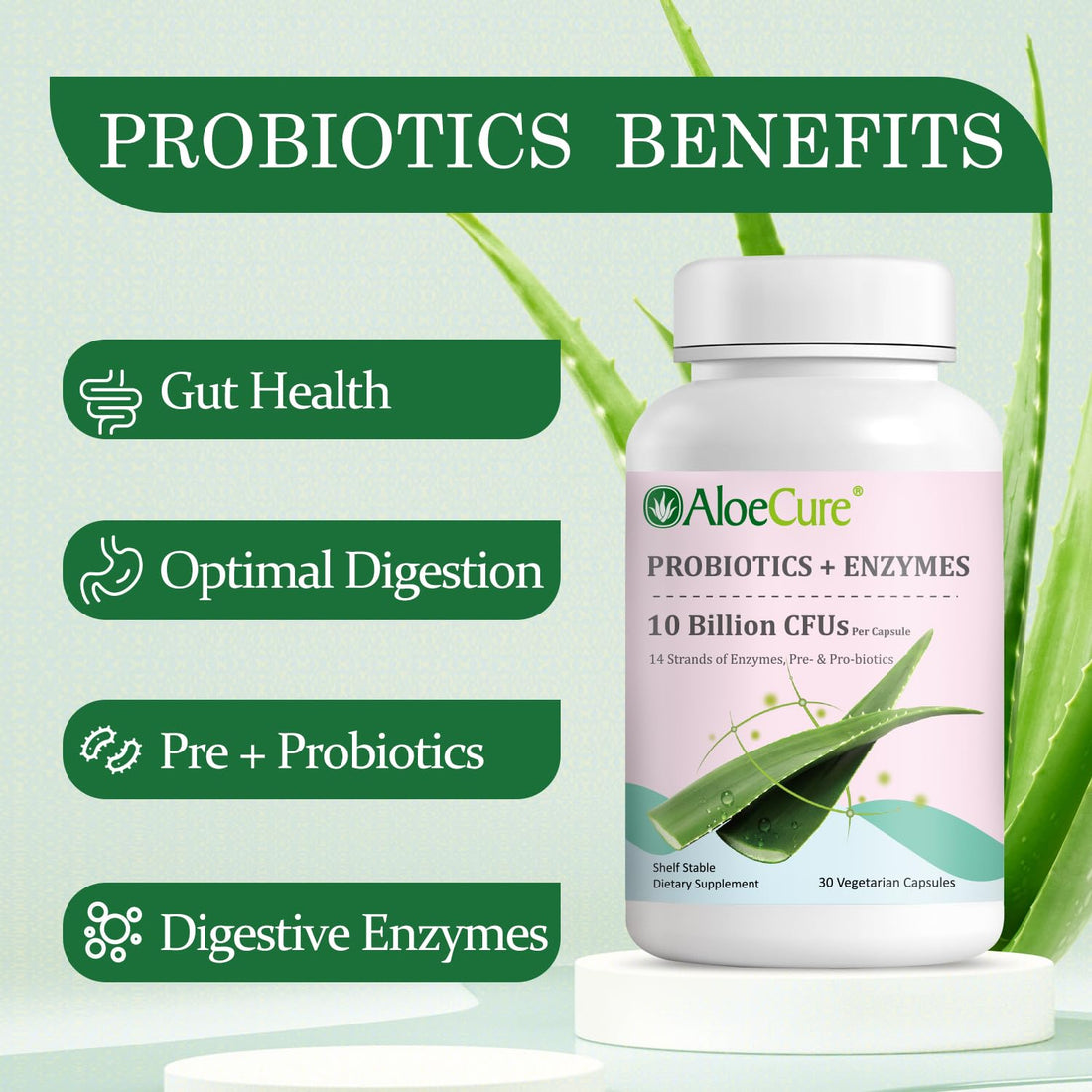 AloeCure Daily Probiotics 10 Billion CFU for Digestive Support 8 Strains, 6 Prebiotics & Enzymes - Digestive Supplement with Bromelain for Women & Men - OzHealthStandard