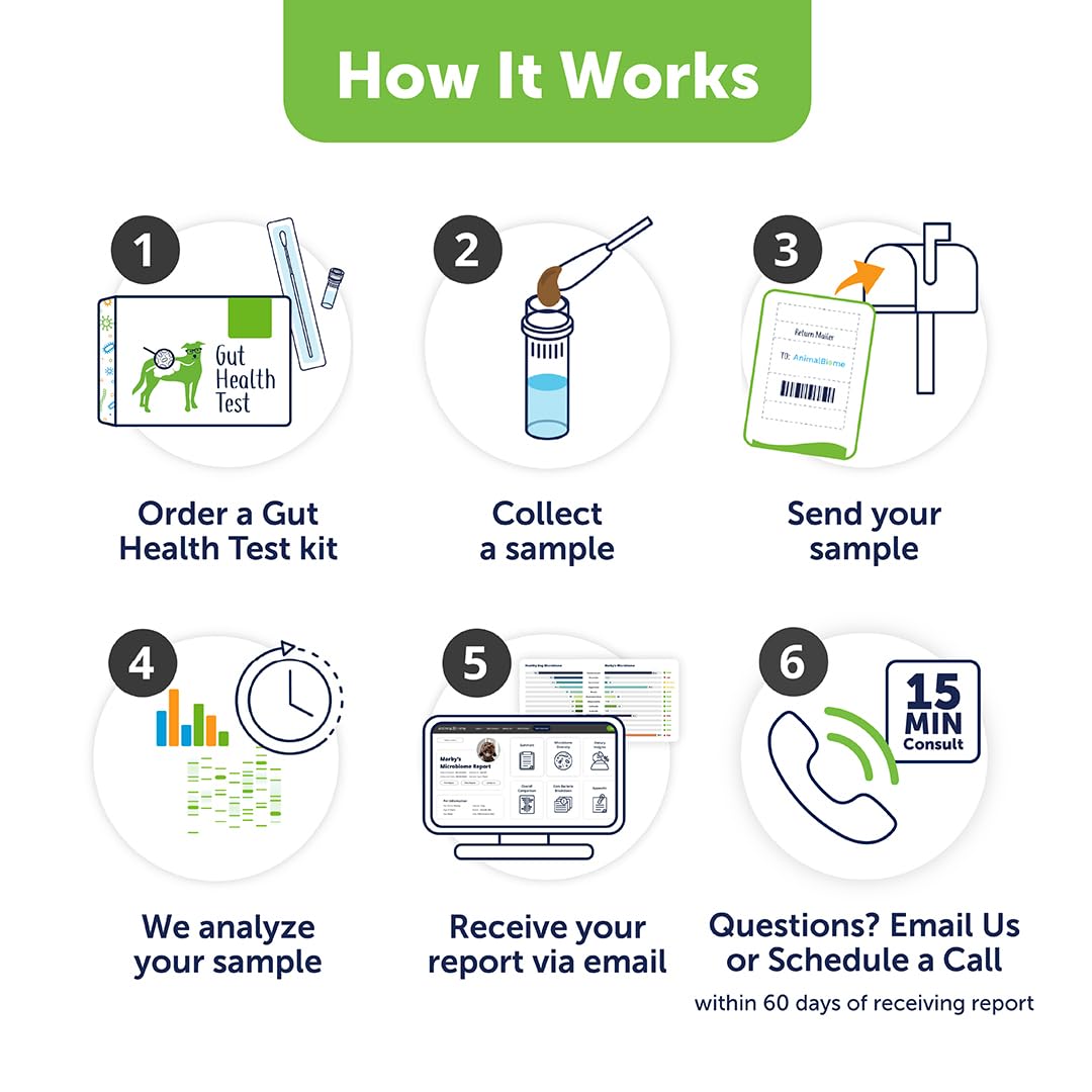 AnimalBiome Dog Gut Health Test – DoggyBiome At Home Stool Testing Kit, Canine Fecal Analysis for Digestive Issues, Diarrhea & Allergy Insights w/Personalized Report & Custom Plan (Dogs Outside US) - OzHealthStandard