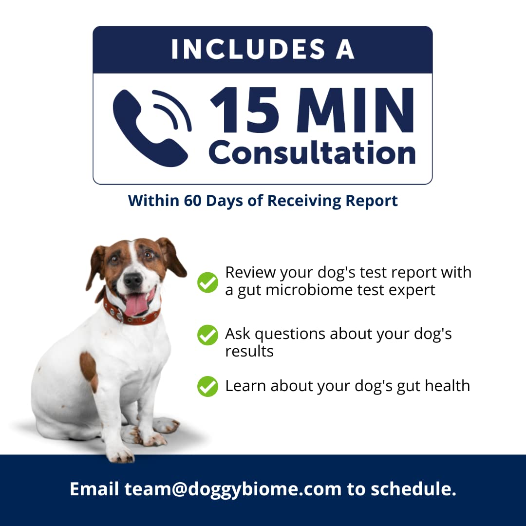 AnimalBiome Dog Gut Health Test – DoggyBiome At Home Stool Testing Kit, Canine Fecal Analysis for Digestive Issues, Diarrhea & Allergy Insights w/Personalized Report & Custom Plan (Dogs in US) - OzHealthStandard